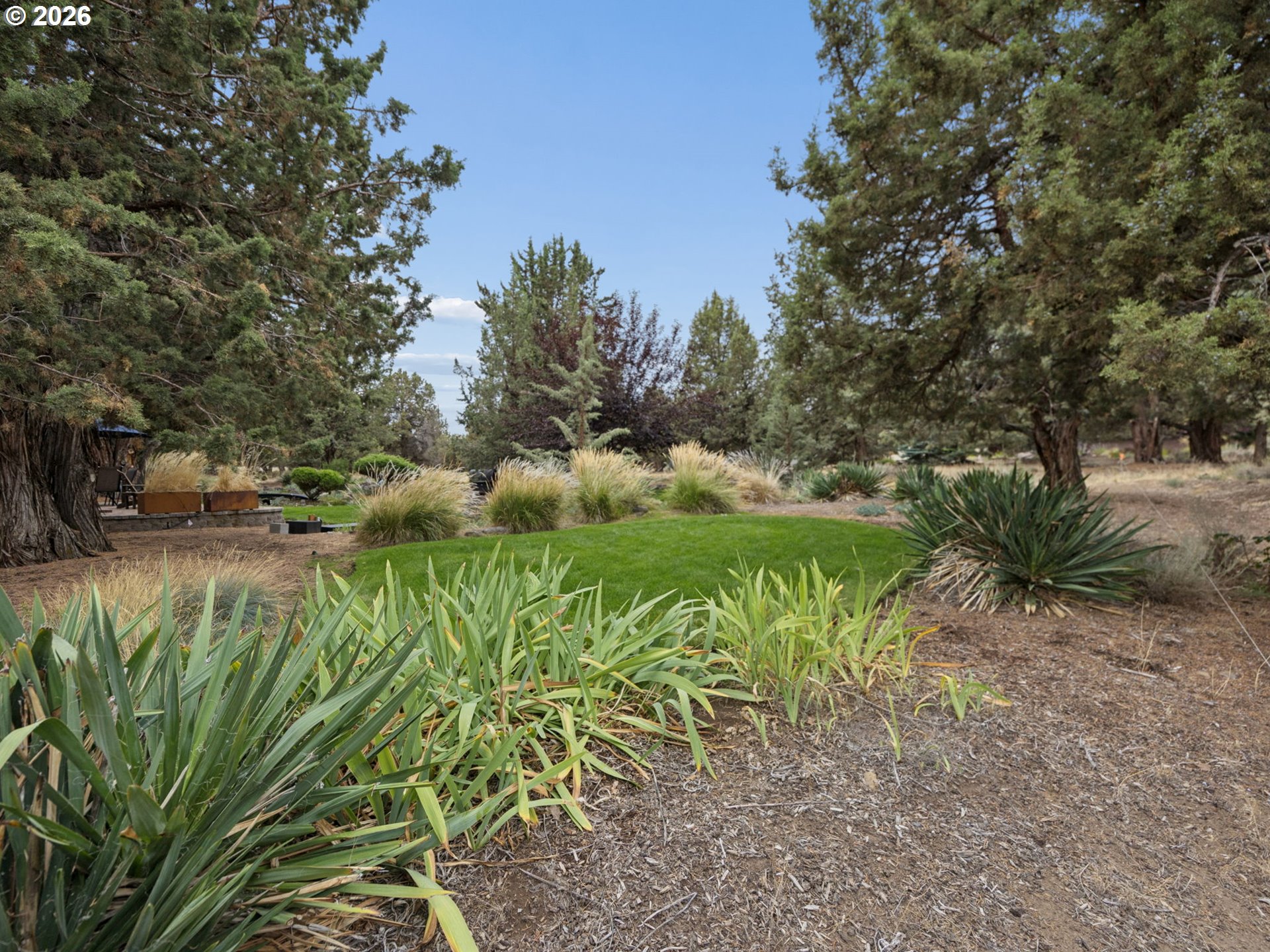 2311 Condor Dr Property Photo 35