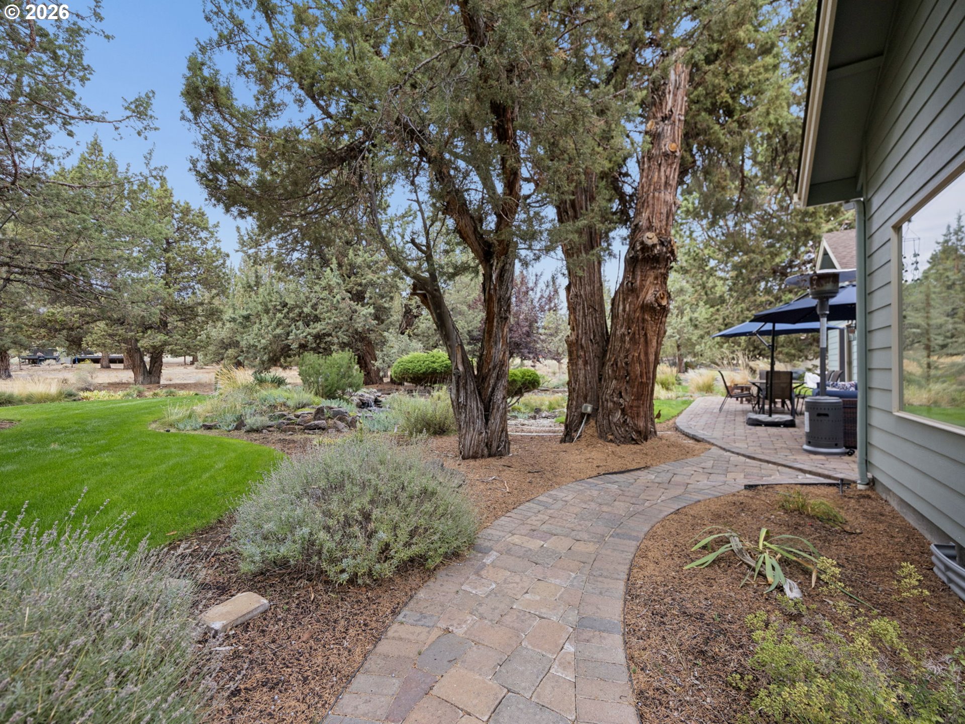 2311 Condor Dr Property Photo 38