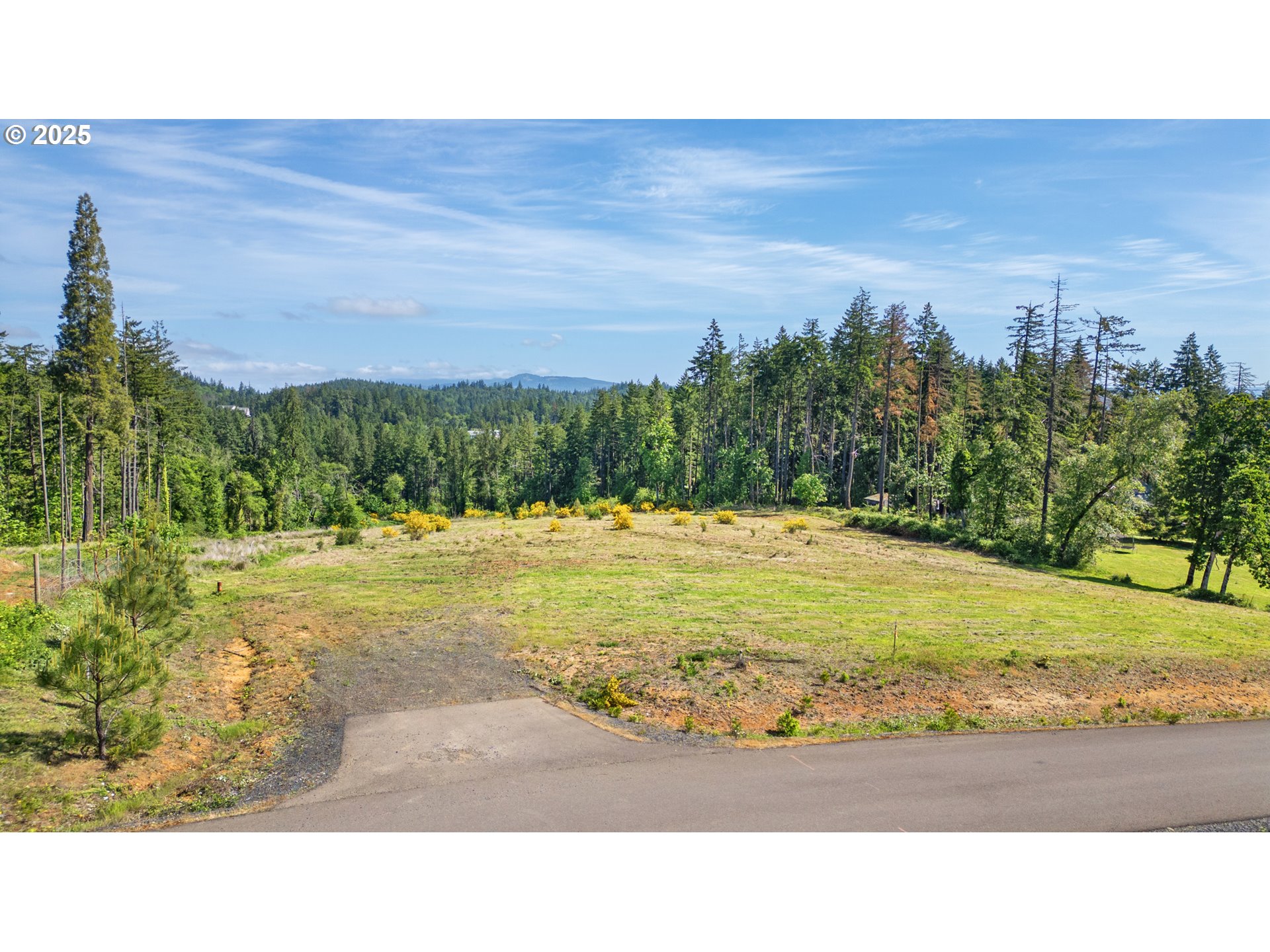 Spring Blvd Lot02500 Property Photo 1