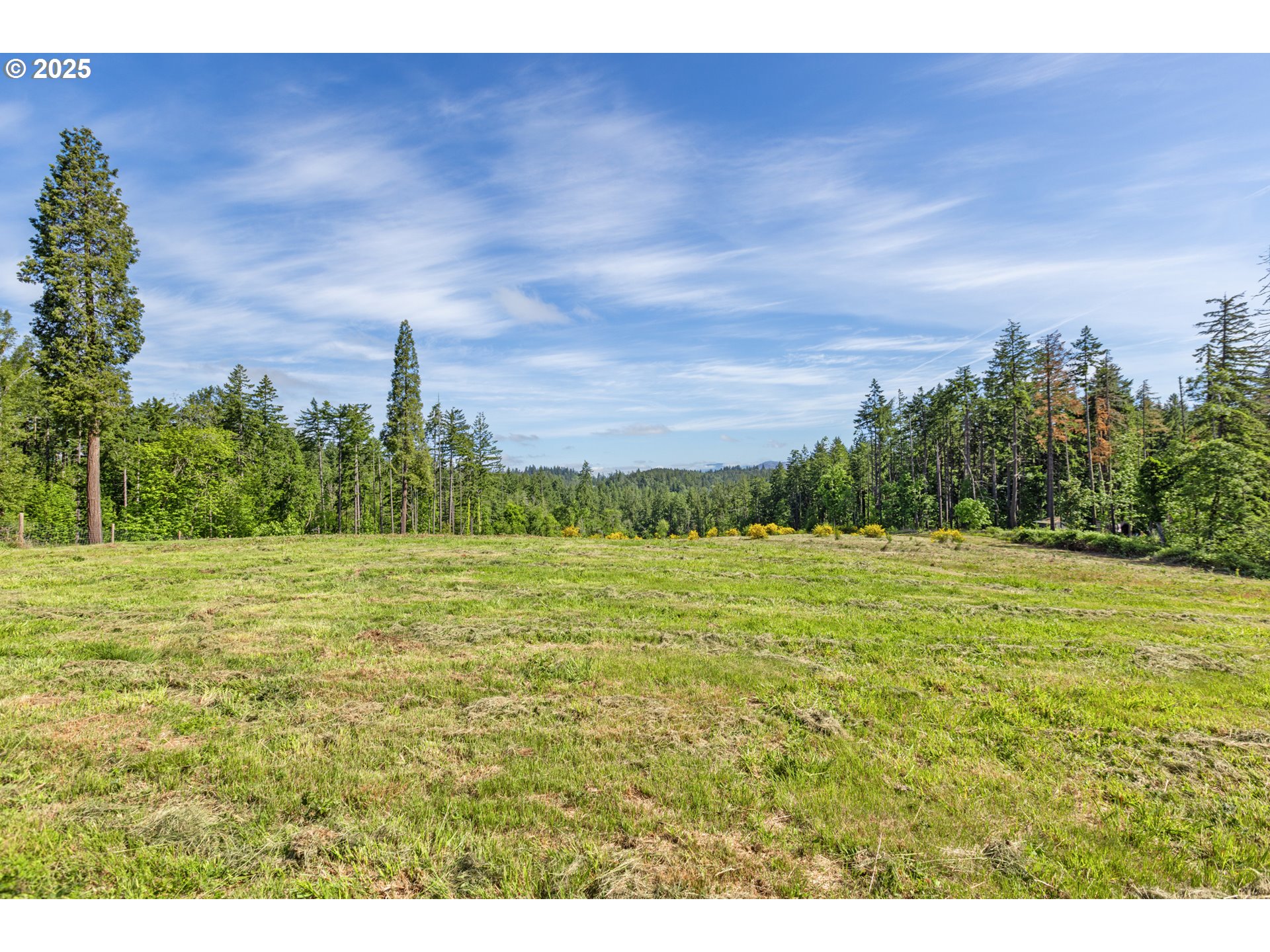 Spring Blvd Lot02500 Property Photo 2