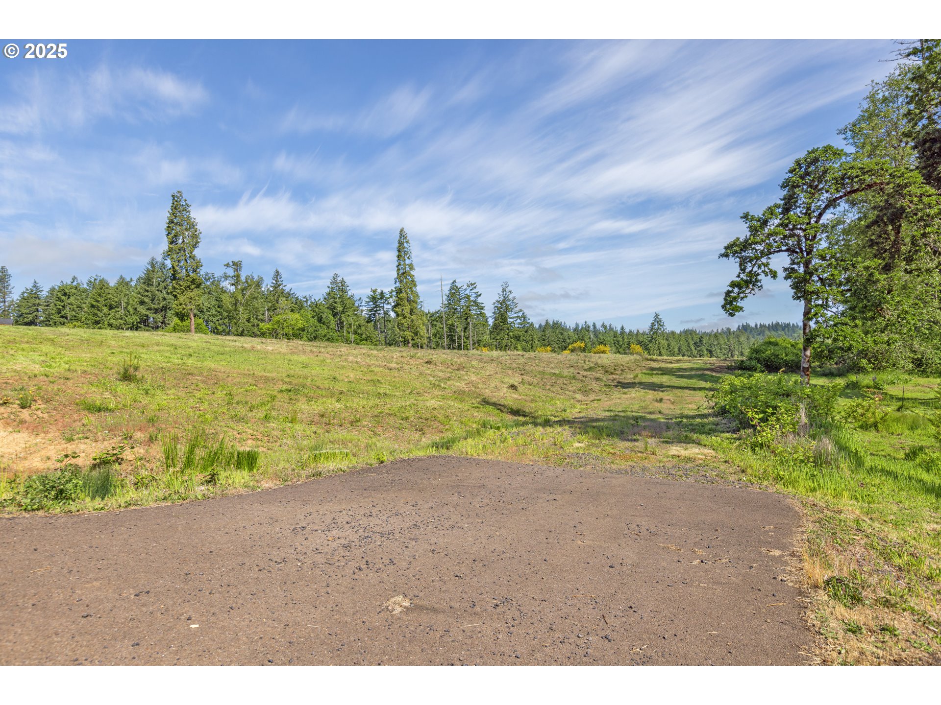 Spring Blvd Lot02500 Property Photo 21