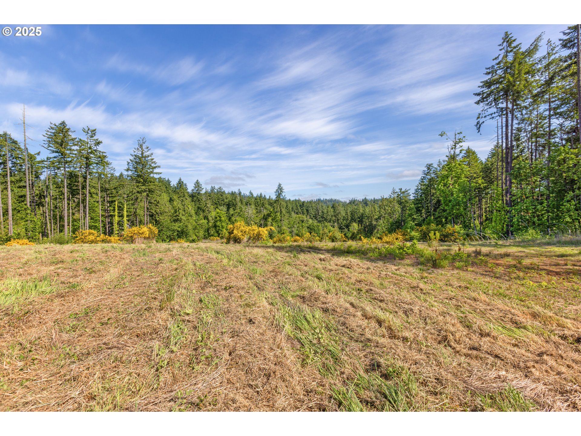 Spring Blvd Lot02500 Property Photo 22
