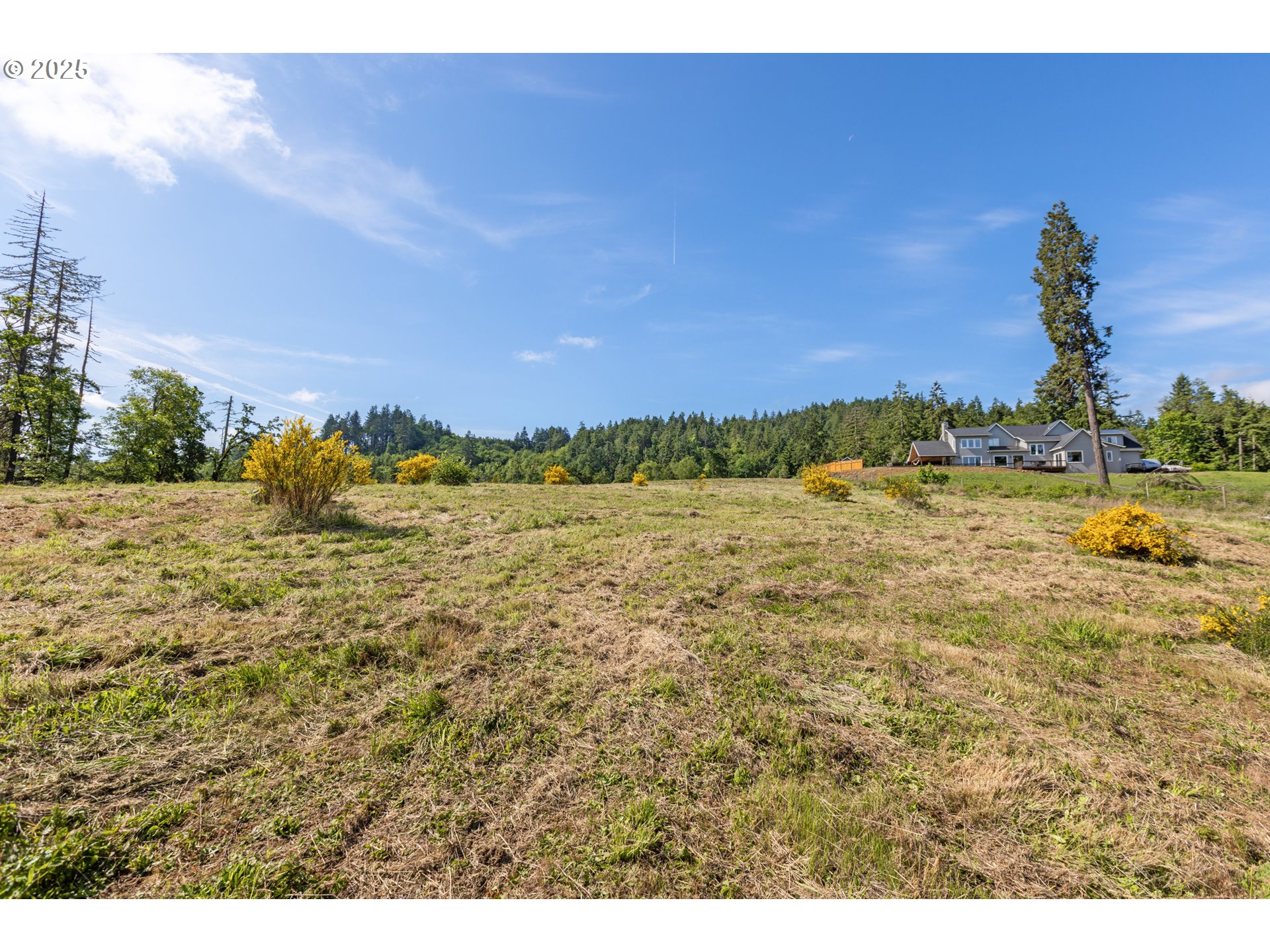 Spring Blvd Lot02500 Property Photo 27