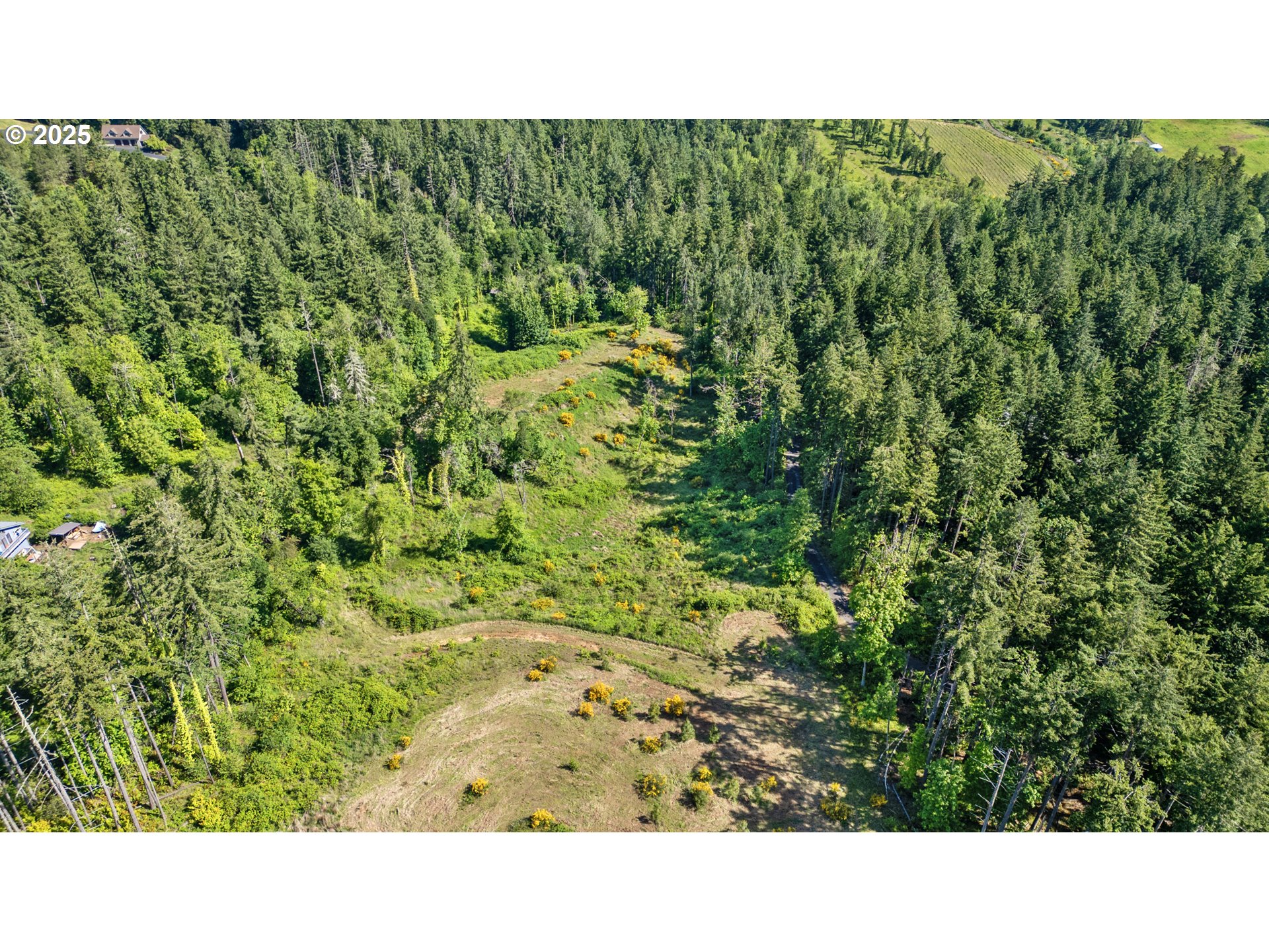 Spring Blvd Lot02500 Property Photo 28
