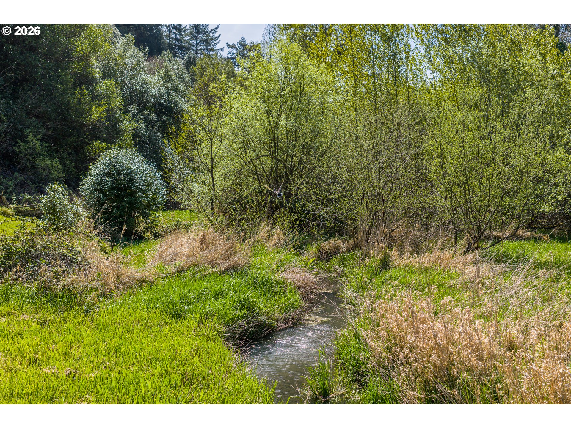 55395 Glen Aiken Creek Rd Property Photo 47