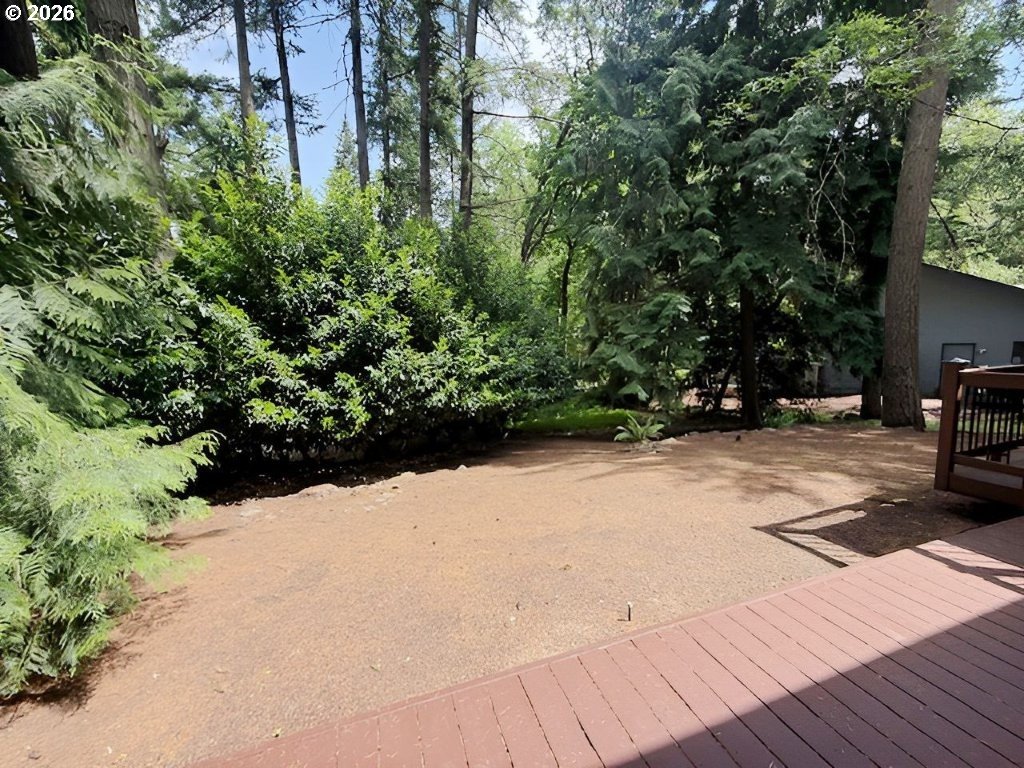 2901 Timberline Dr Property Photo 6