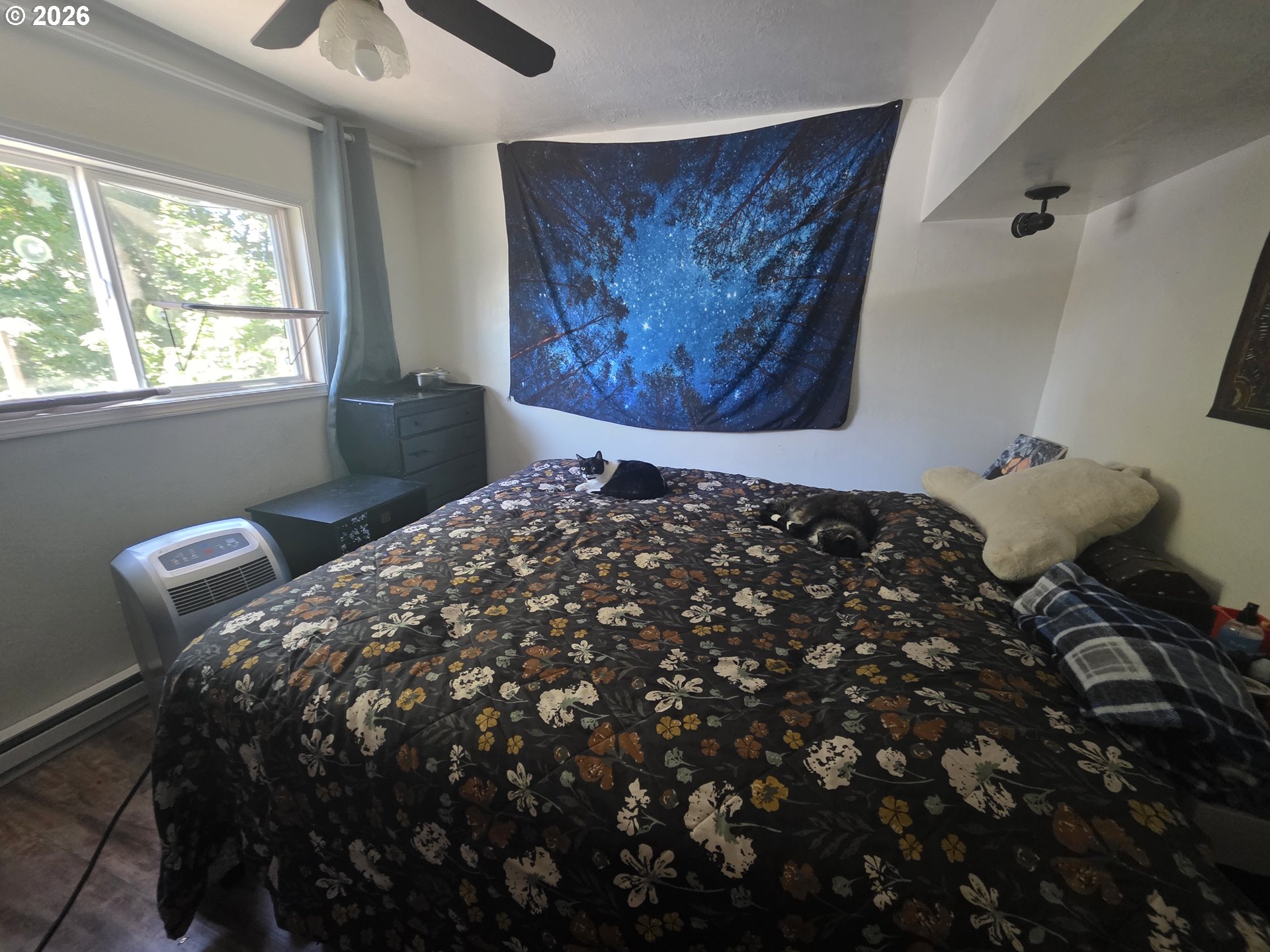 589 Knapp Pl Property Photo 4