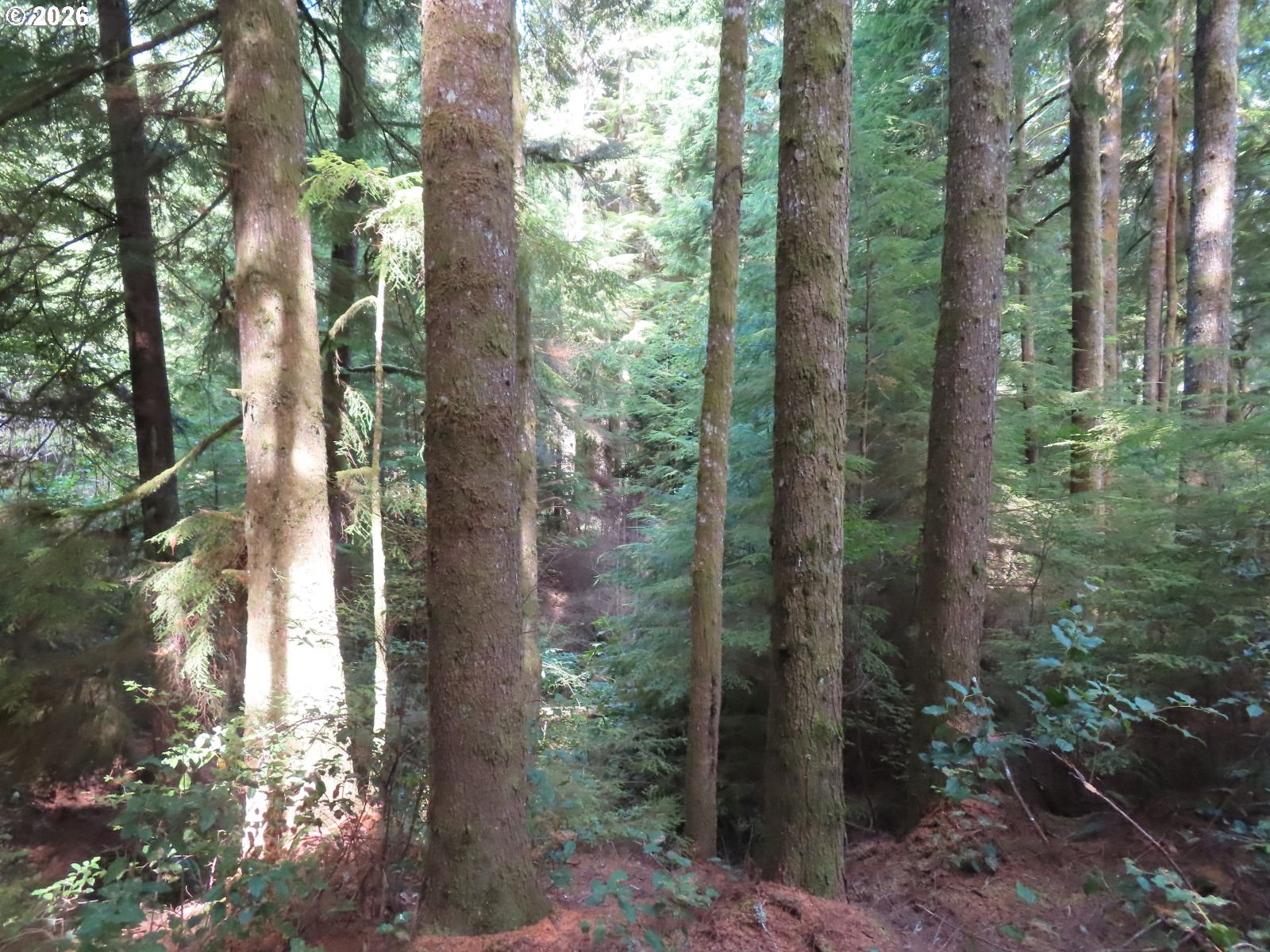 State Route 101 Property Photo 1