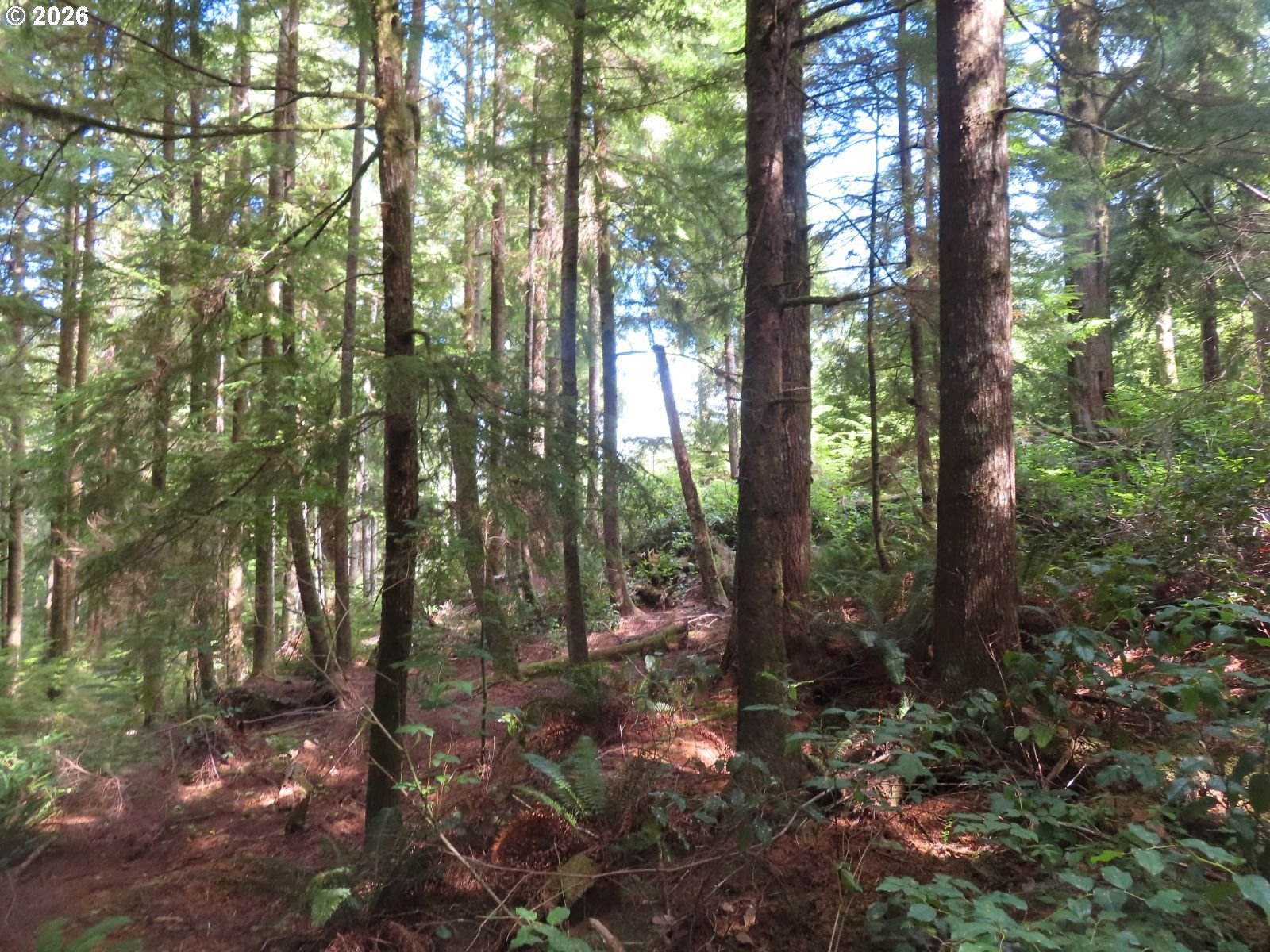 State Route 101 Property Photo 2
