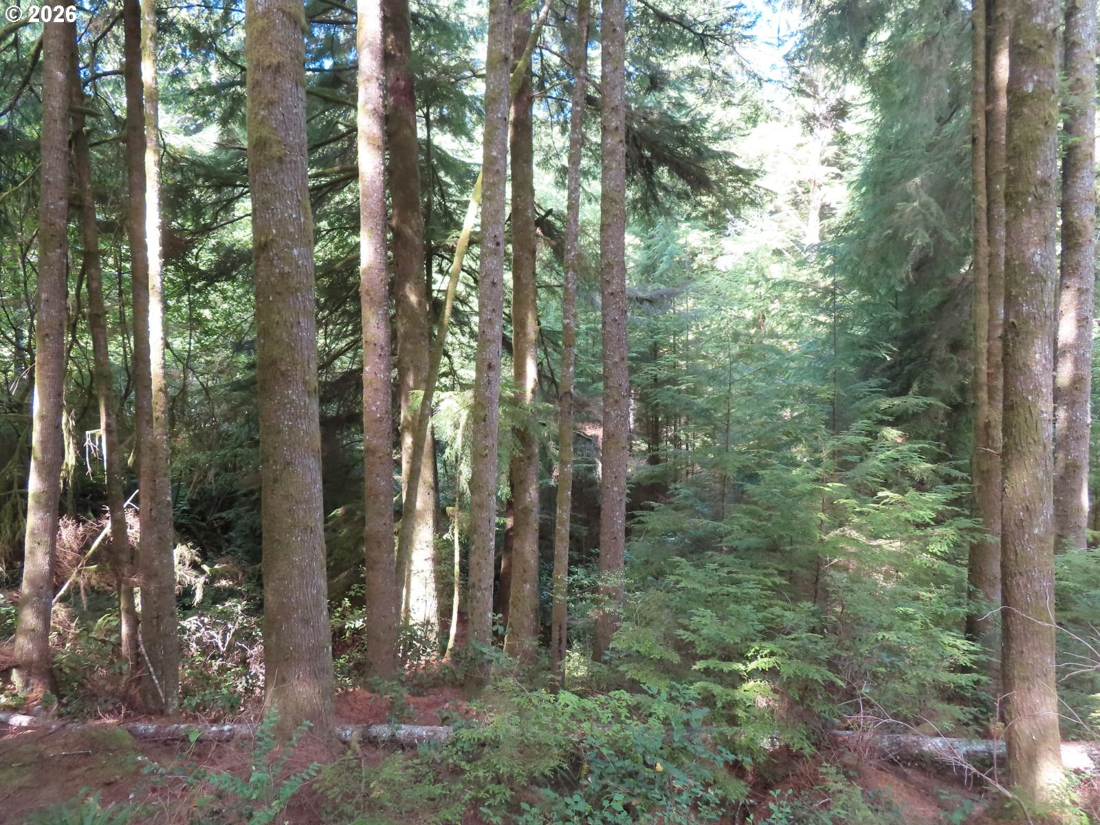 State Route 101 Property Photo 5