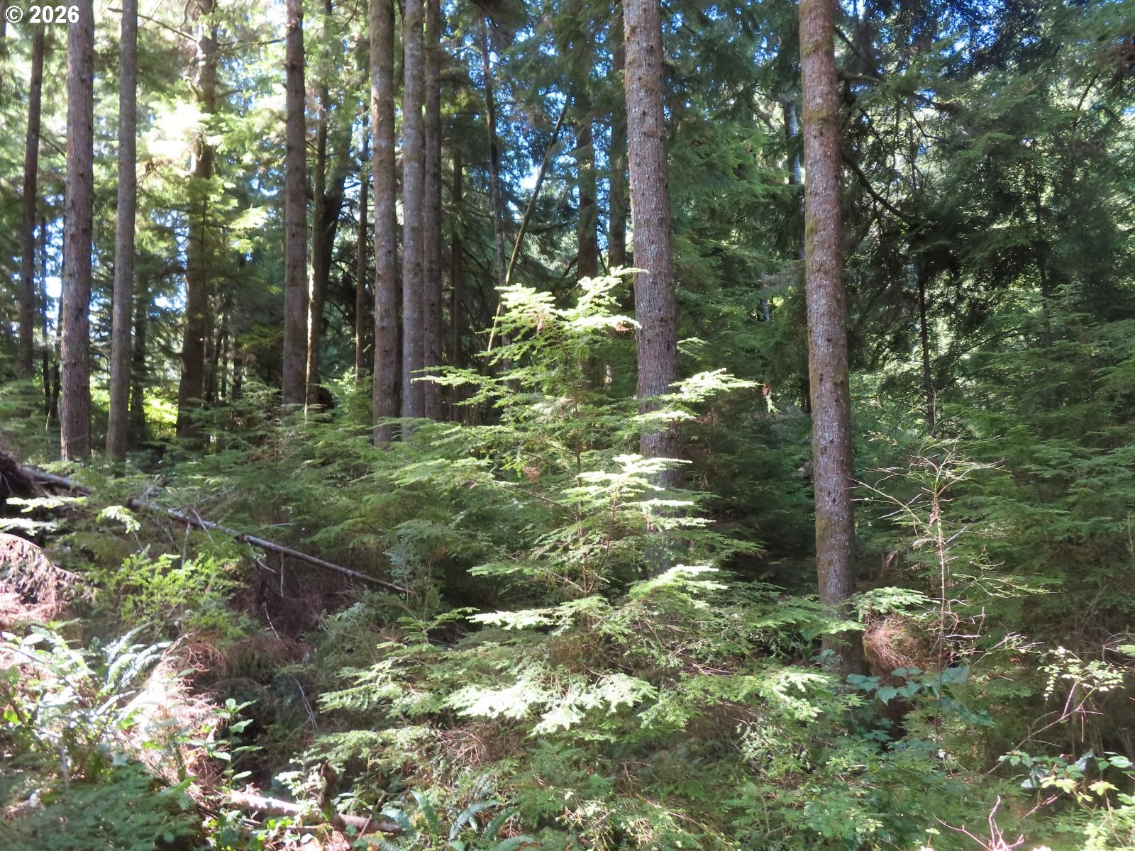 State Route 101 Property Photo 7