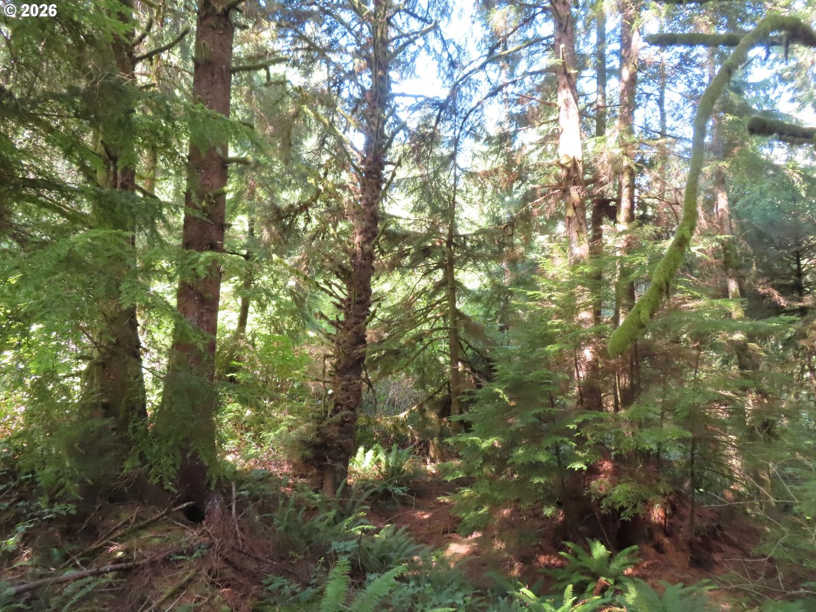 State Route 101 Property Photo 9