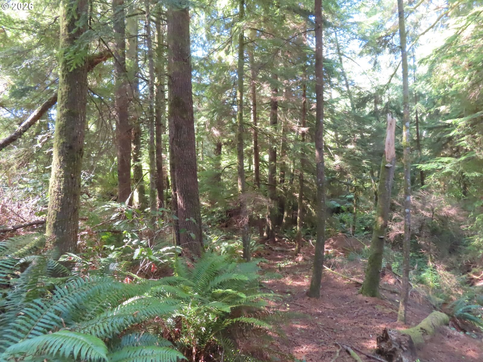 State Route 101 Property Photo 10