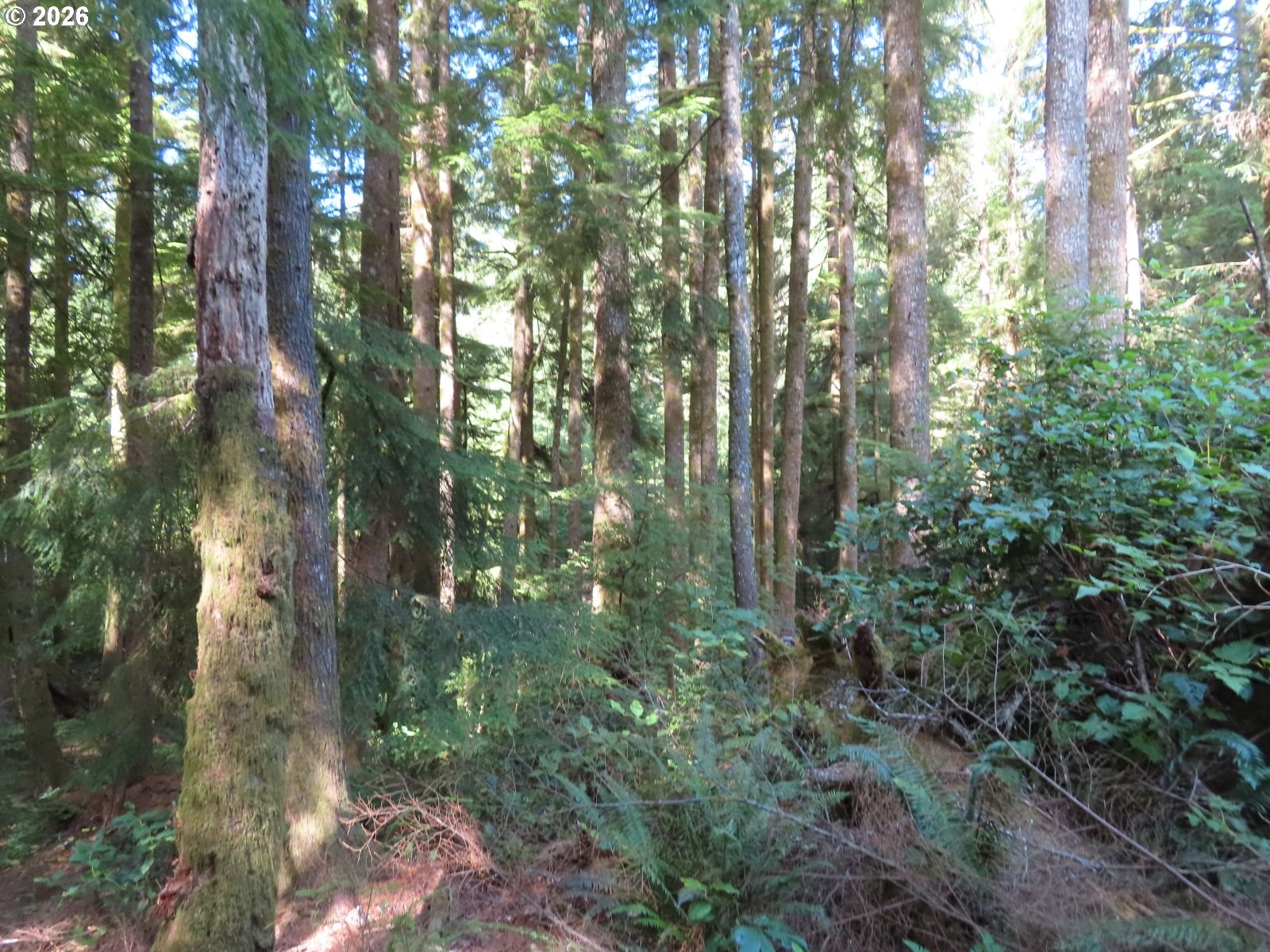State Route 101 Property Photo 11