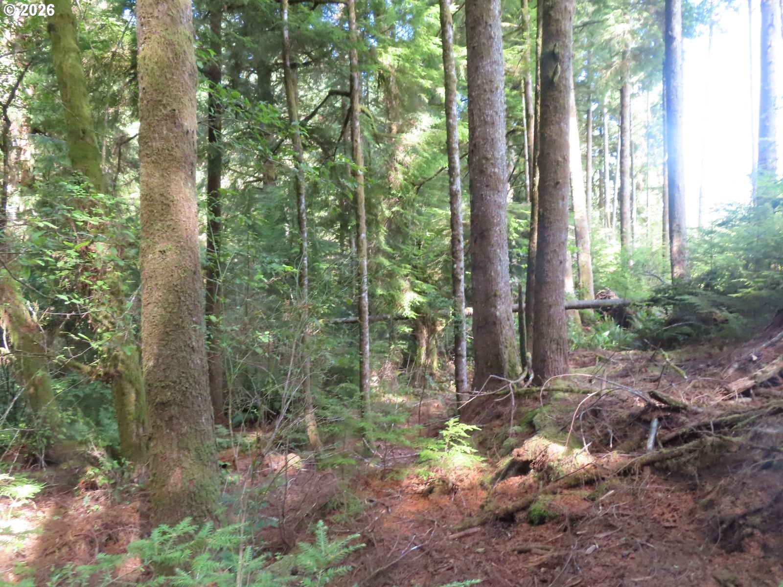 State Route 101 Property Photo 12