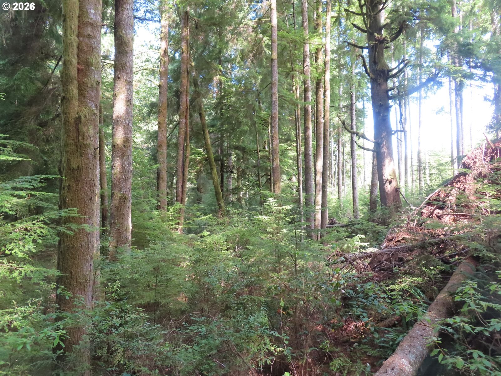 State Route 101 Property Photo 13