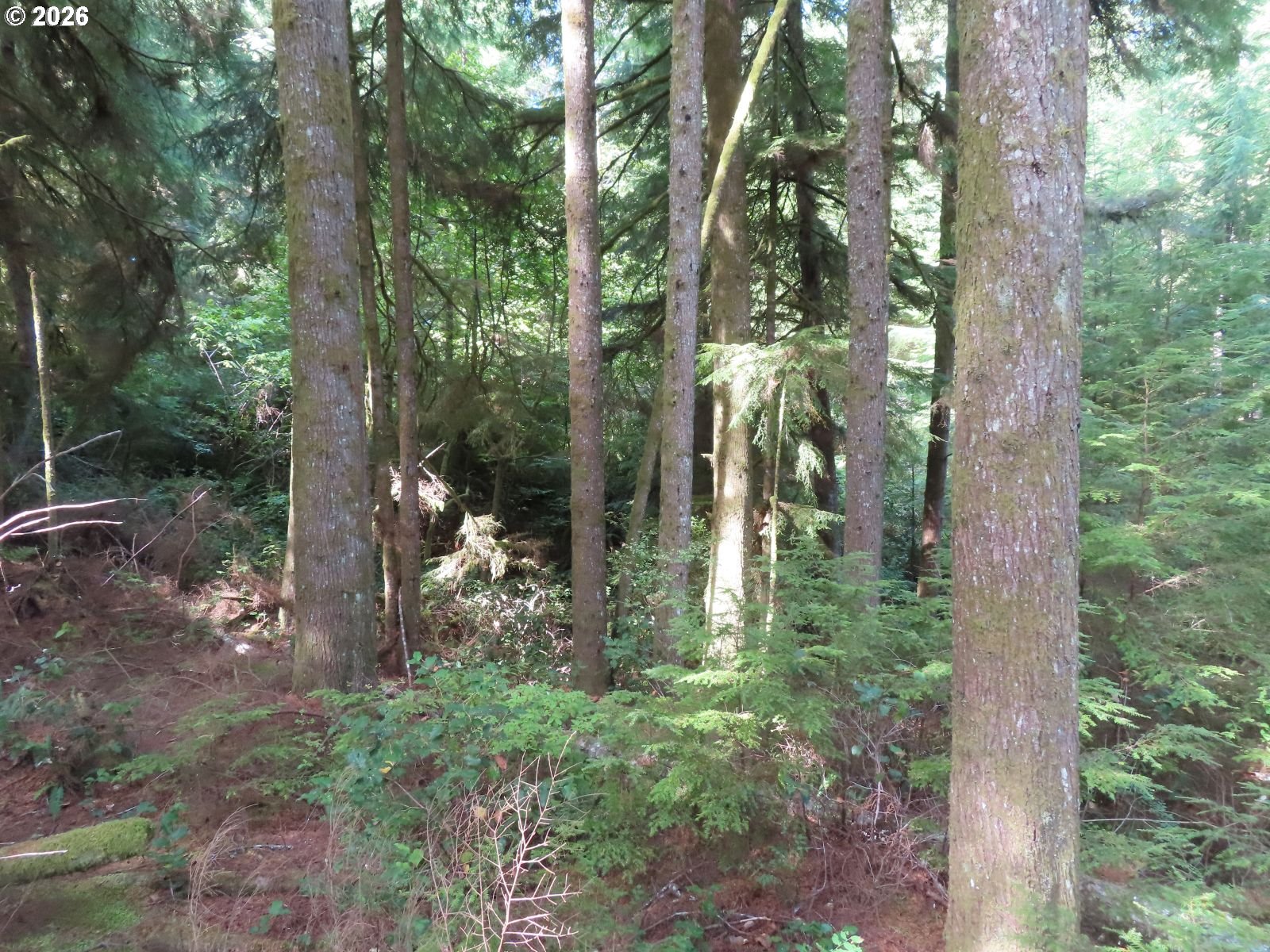 State Route 101 Property Photo 14