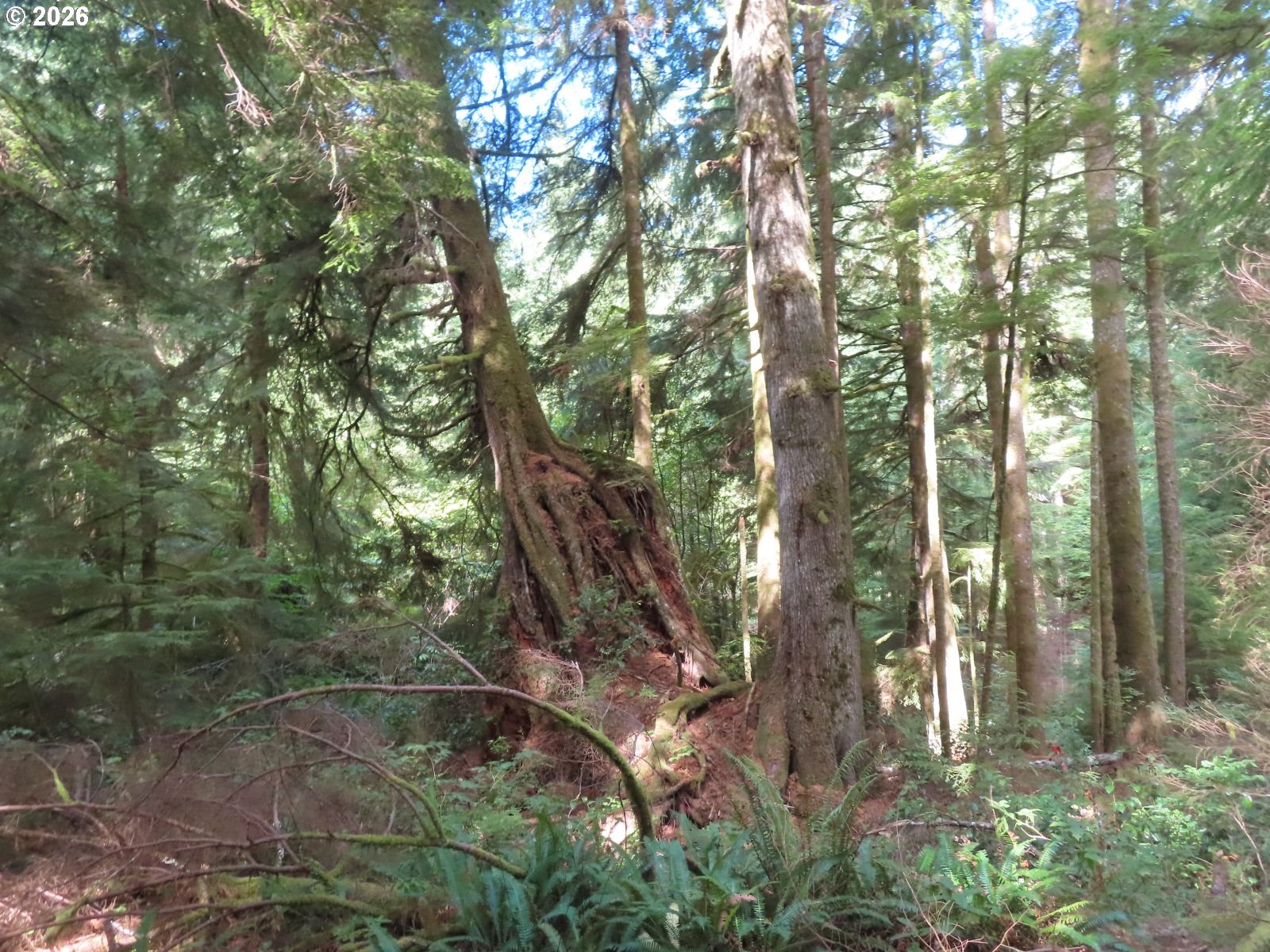 State Route 101 Property Photo 15