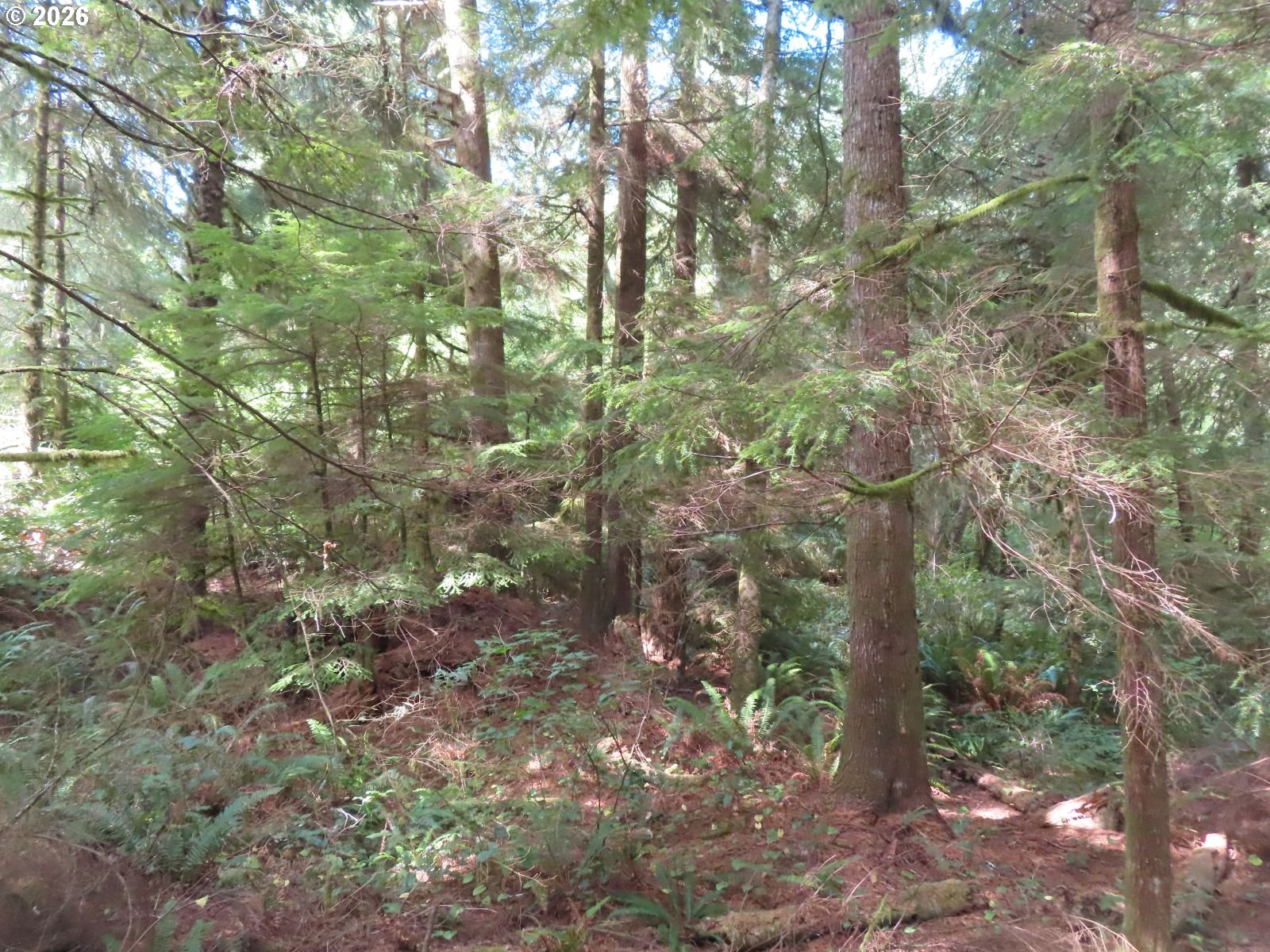 State Route 101 Property Photo 16