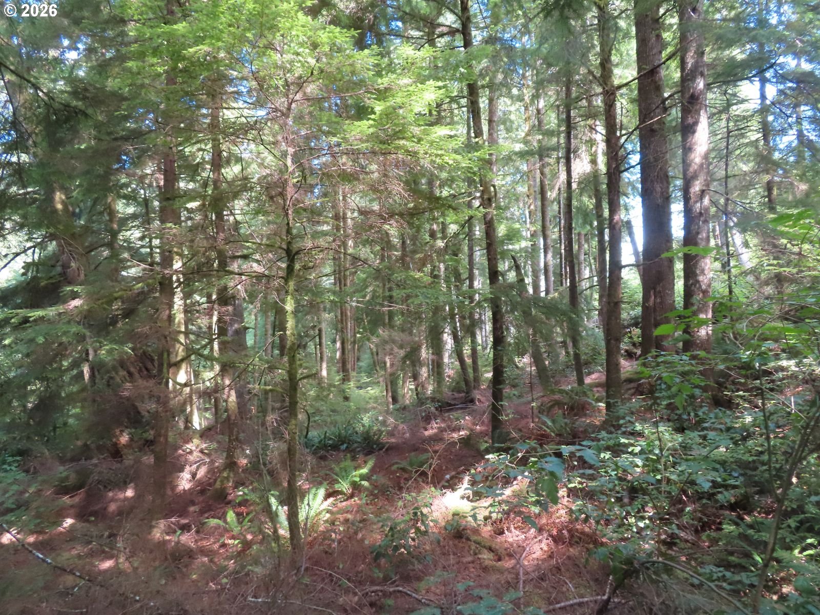State Route 101 Property Photo 17