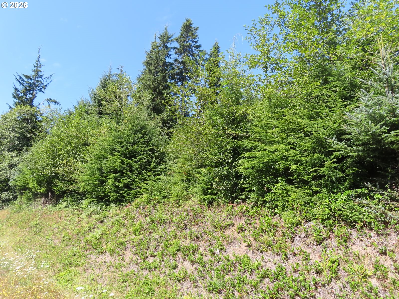 State Route 101 Property Photo 18