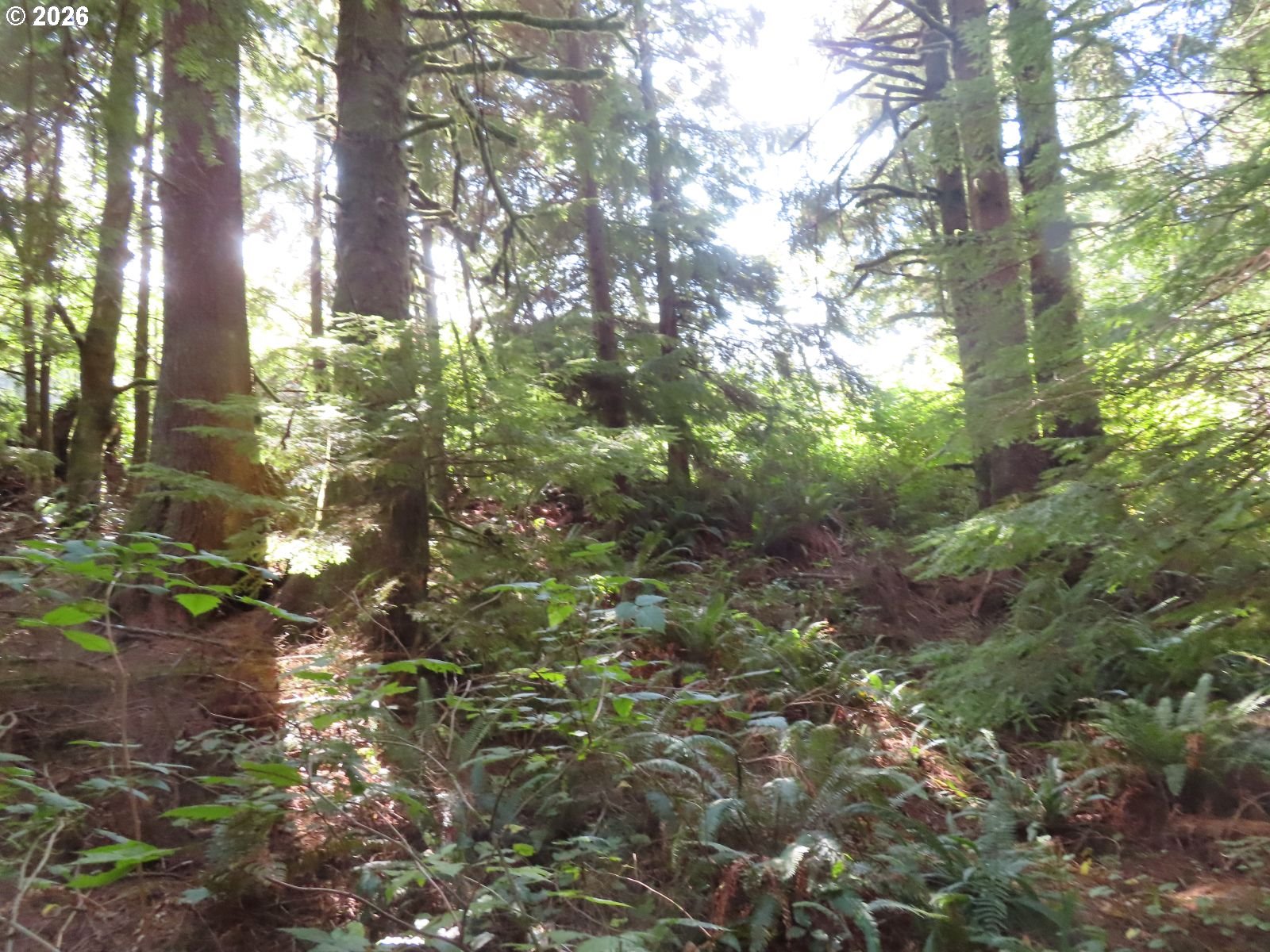 State Route 101 Property Photo 20