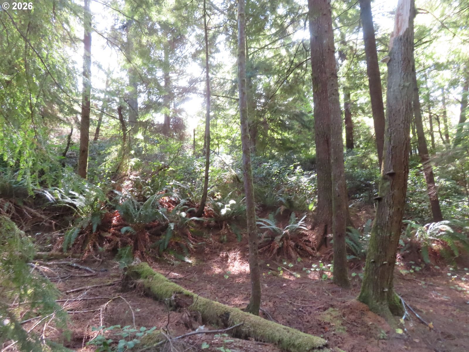 State Route 101 Property Photo 21