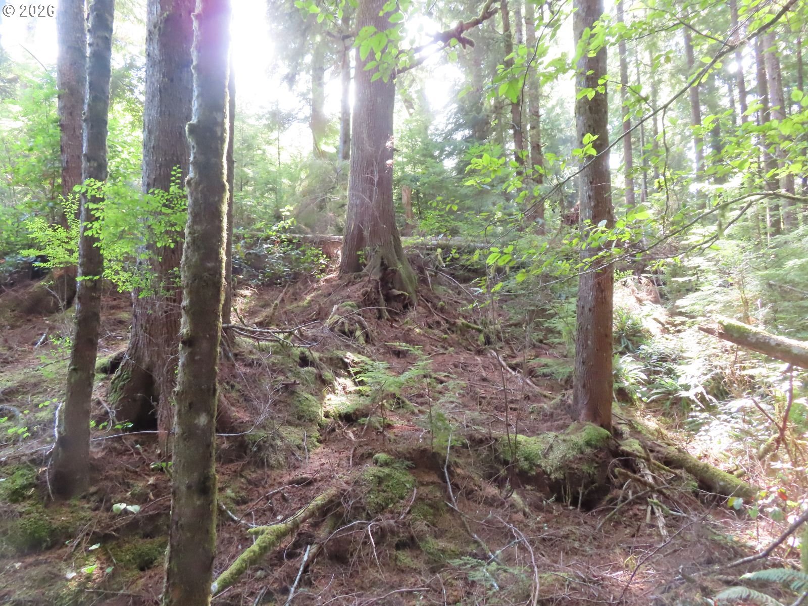 State Route 101 Property Photo 22