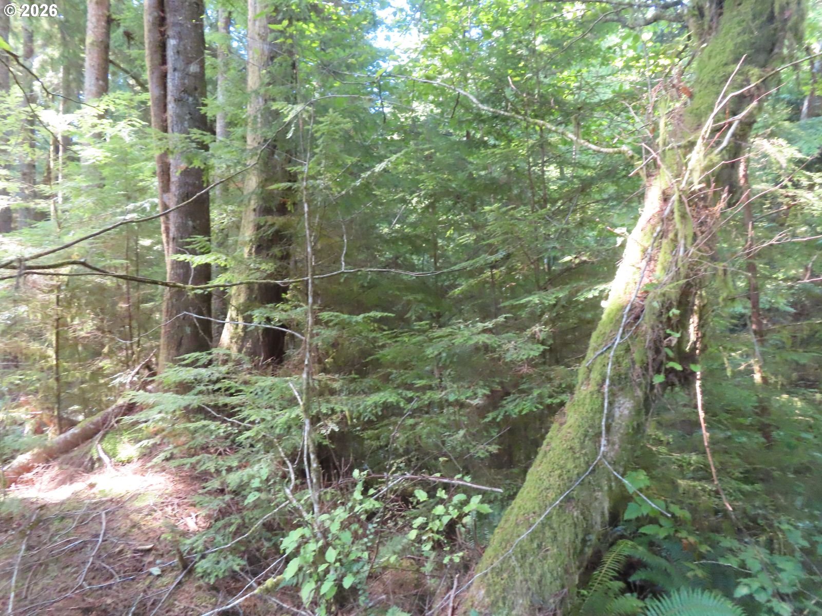 State Route 101 Property Photo 23