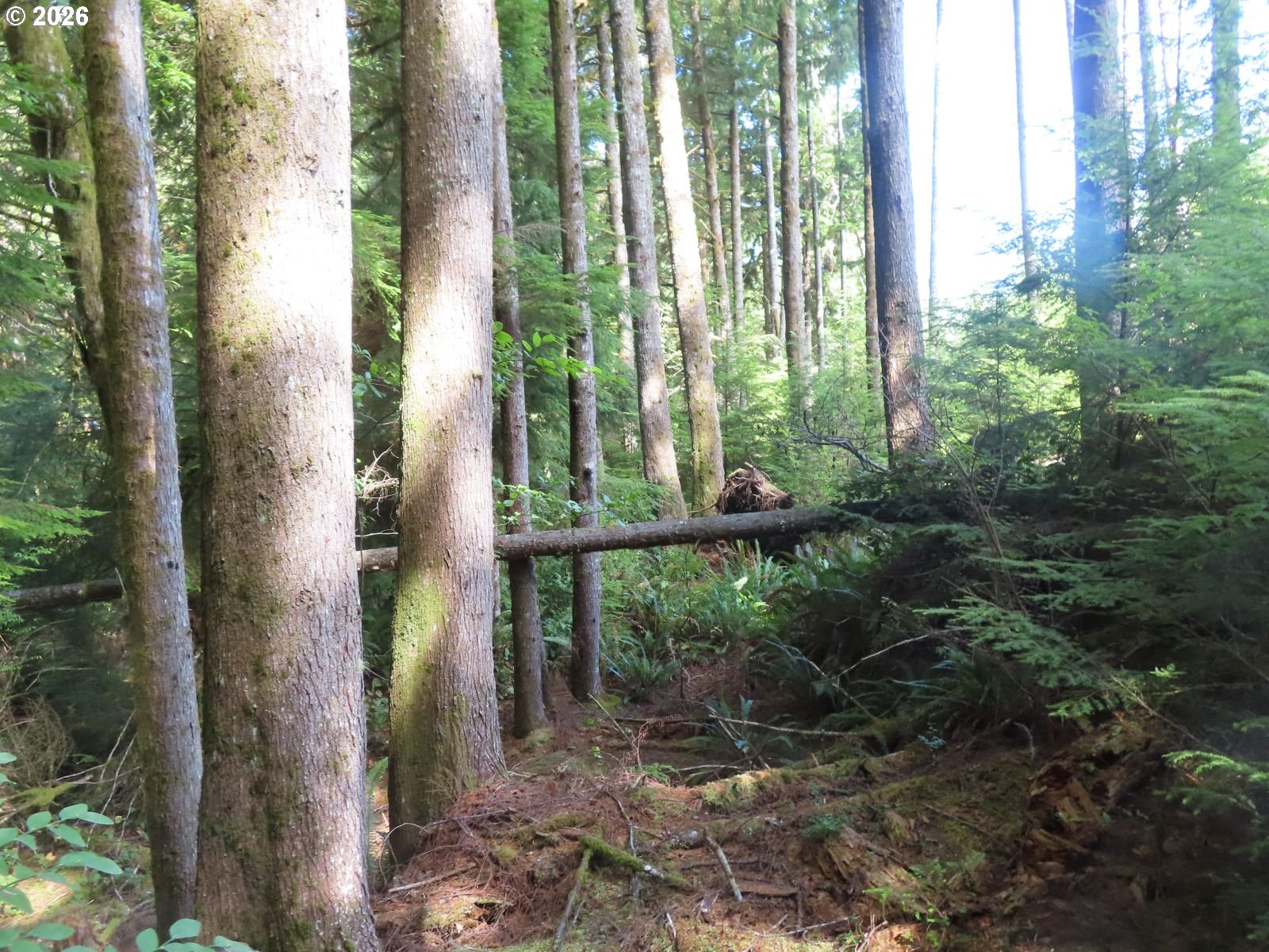 State Route 101 Property Photo 24