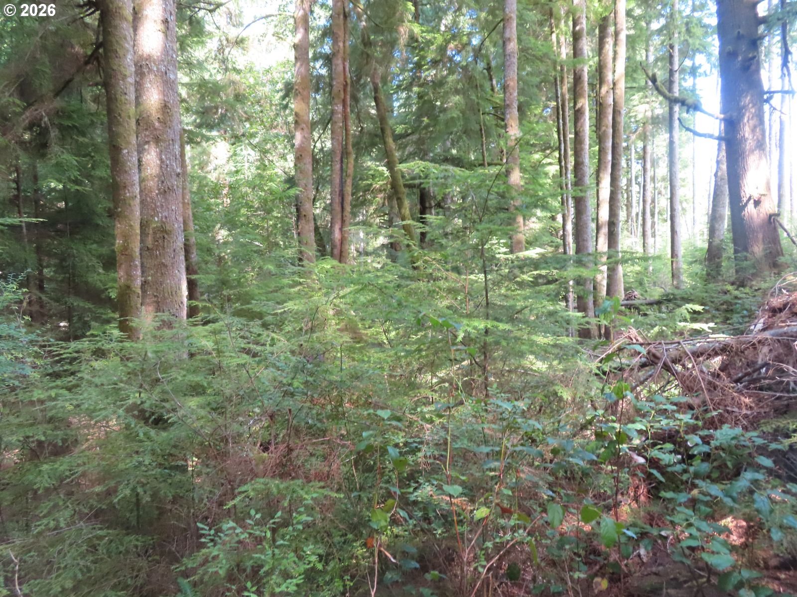 State Route 101 Property Photo 25