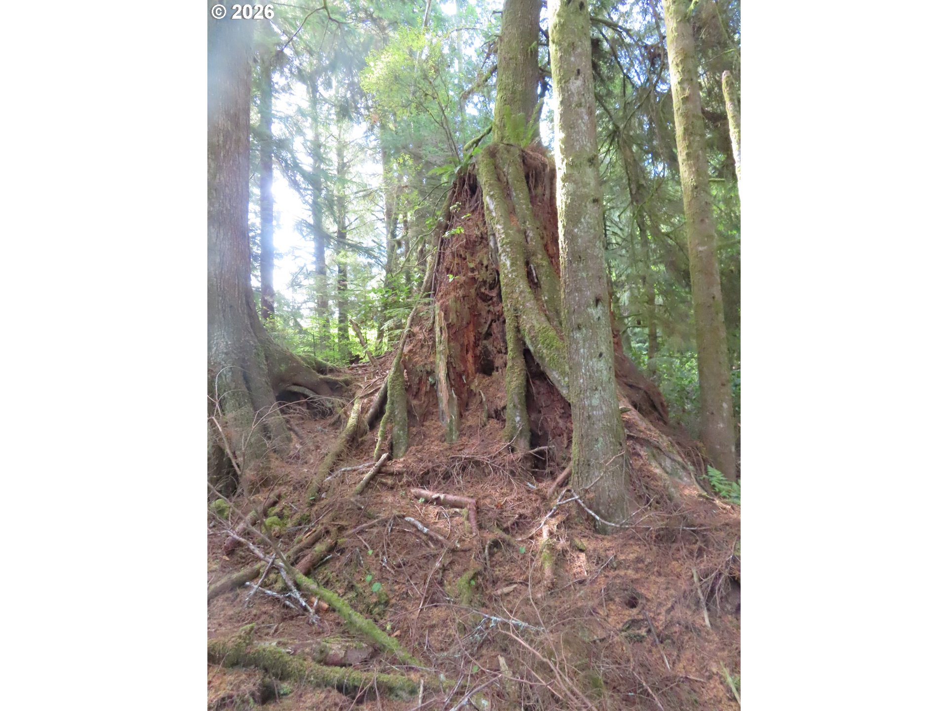 State Route 101 Property Photo 26