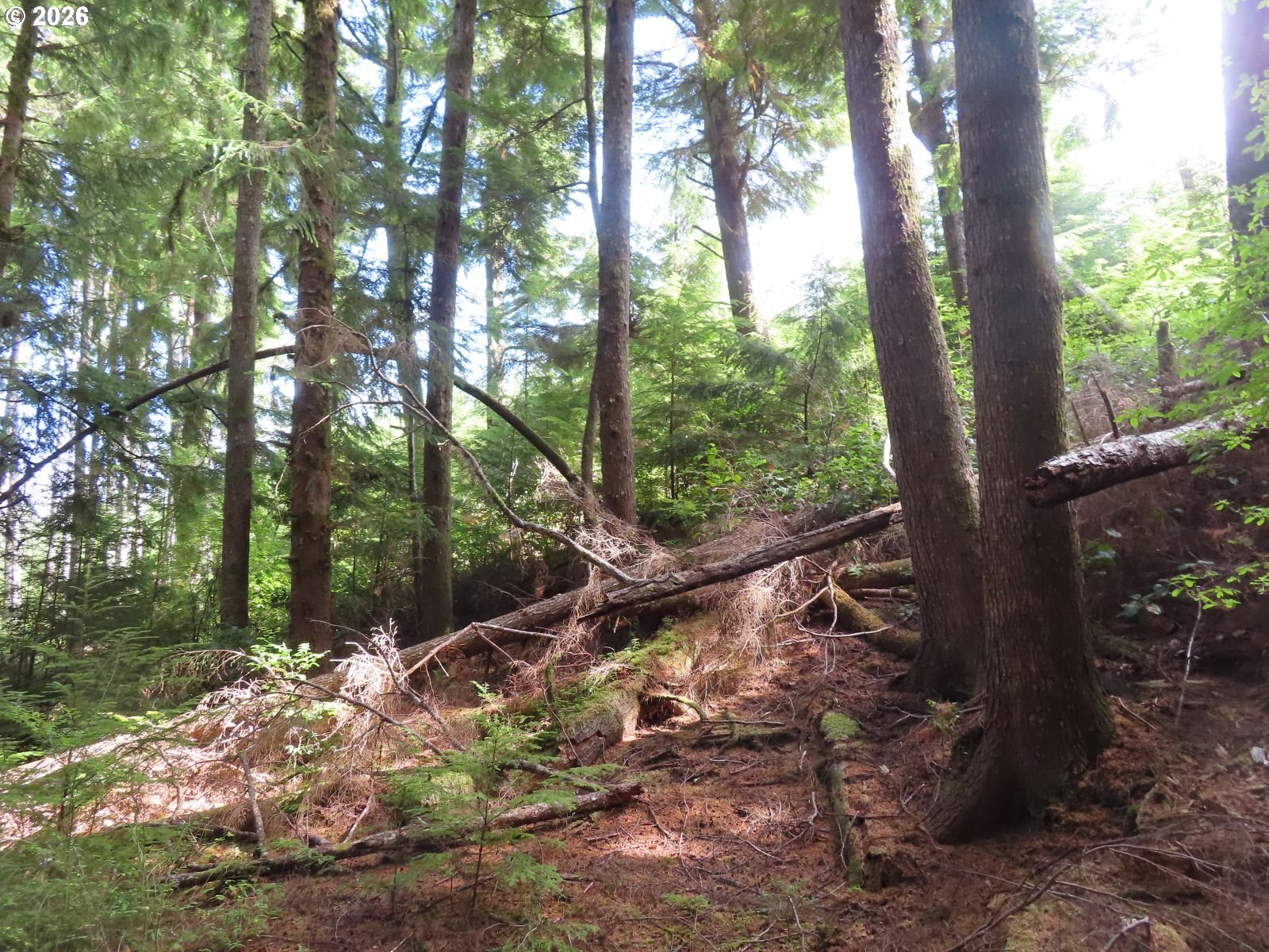 State Route 101 Property Photo 27