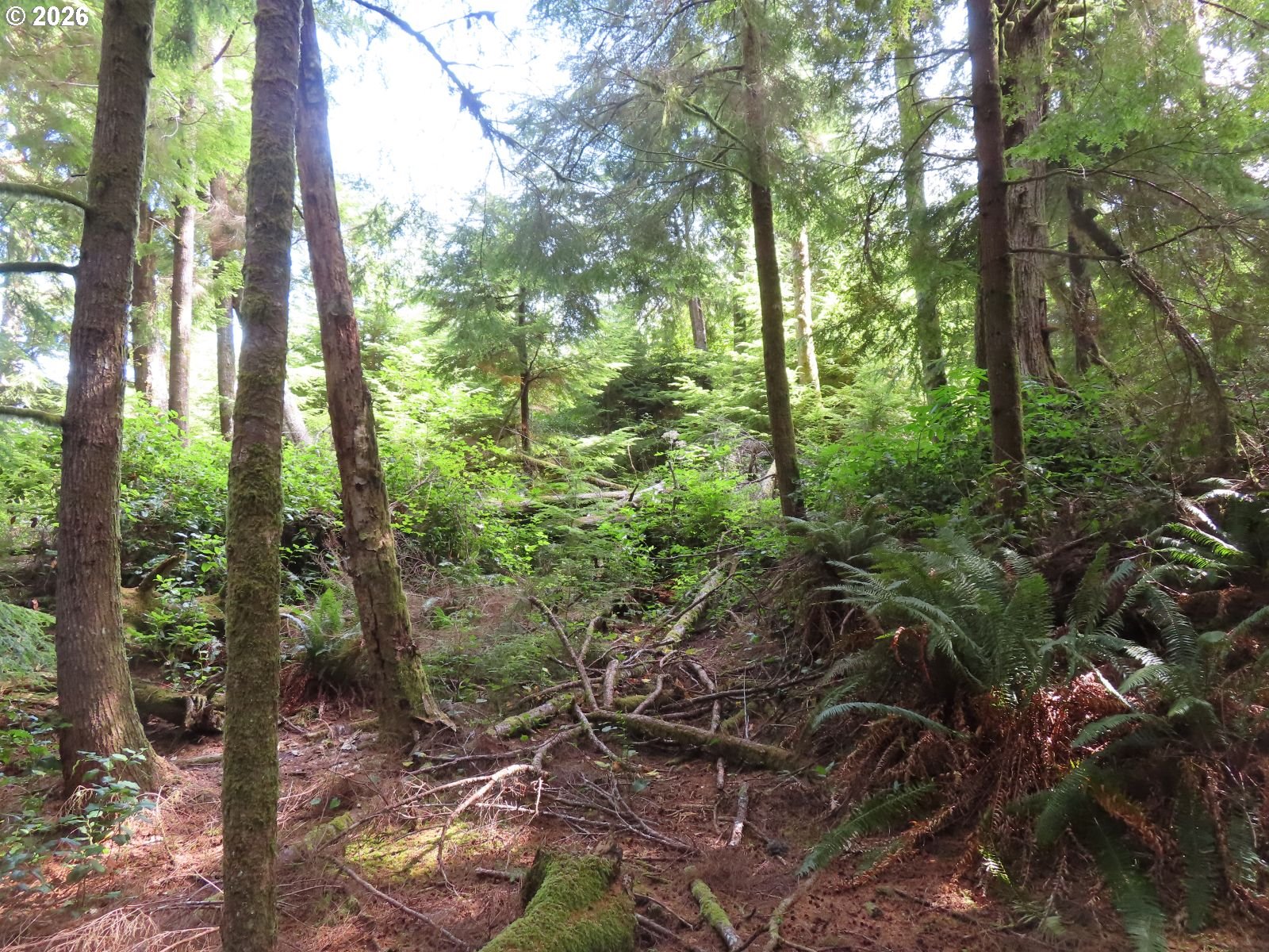 State Route 101 Property Photo 28