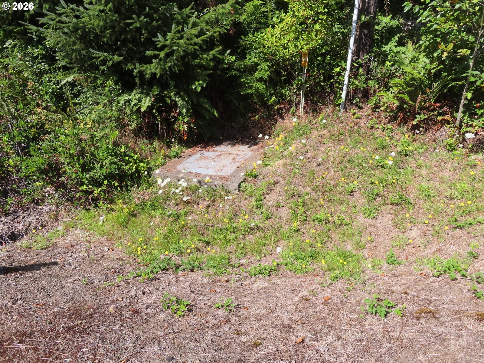 State Route 101 Property Photo 29