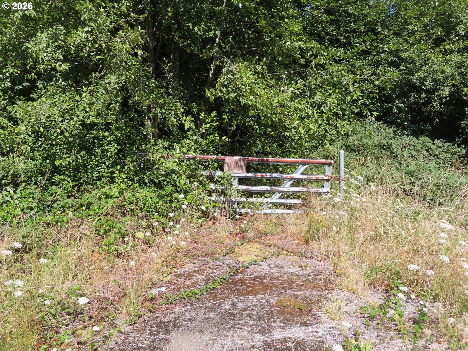 State Route 101 Property Photo 30