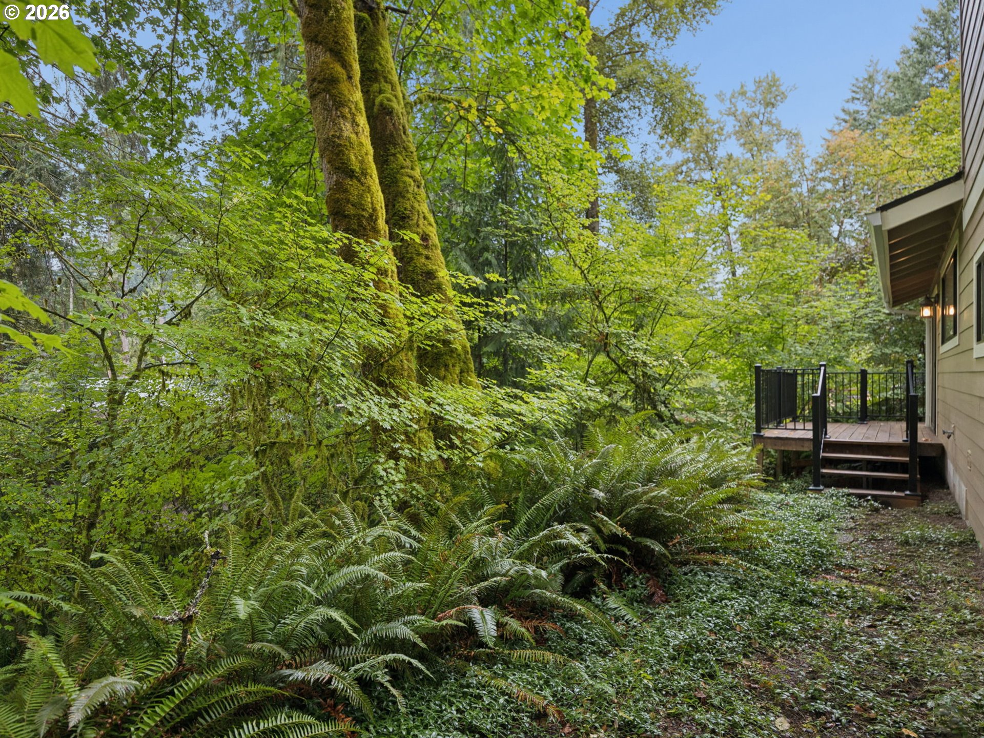 64890 E Mountain Meadow Ln Property Photo 29