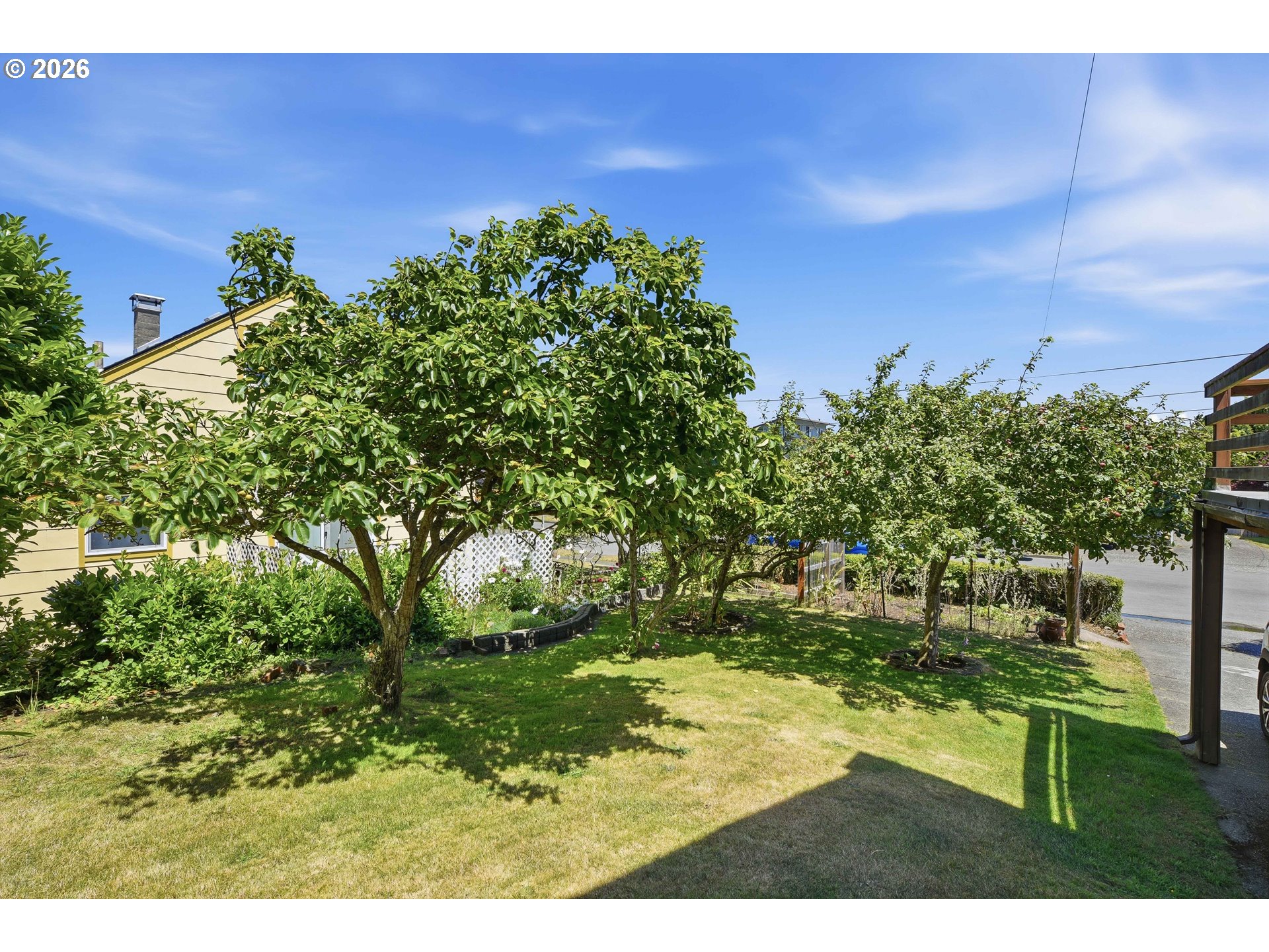 1954 Madrona St Property Photo 35