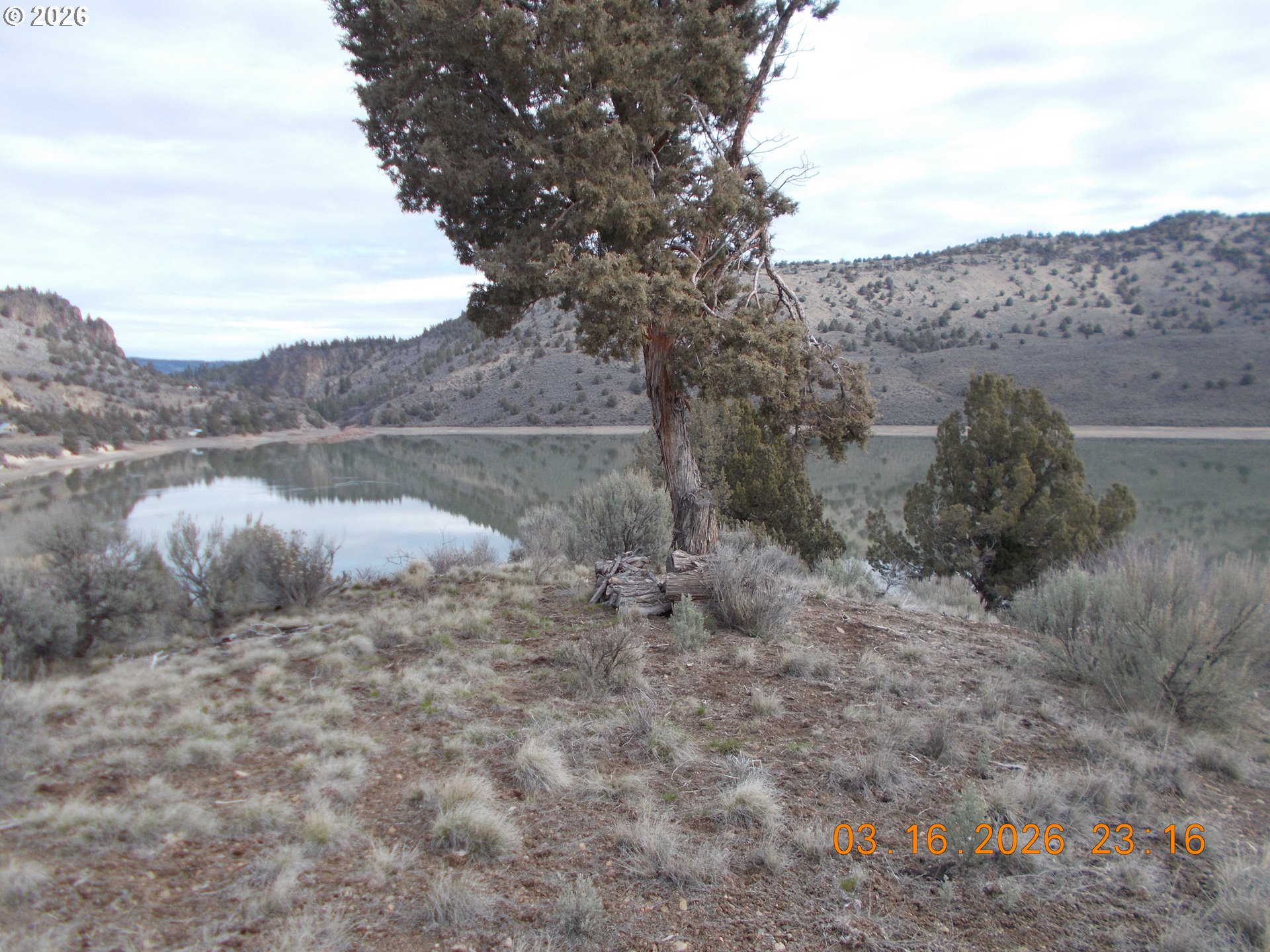 31841 Rice Rd Property Photo 10