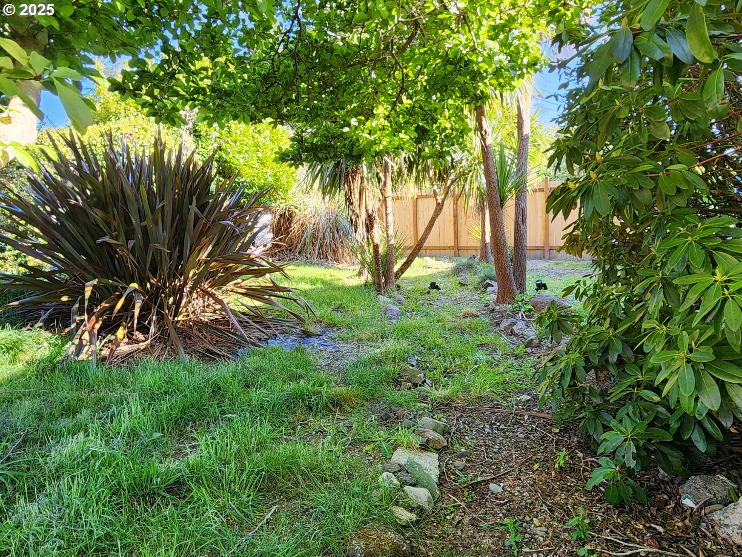 654 Madrona Ave Property Photo 35
