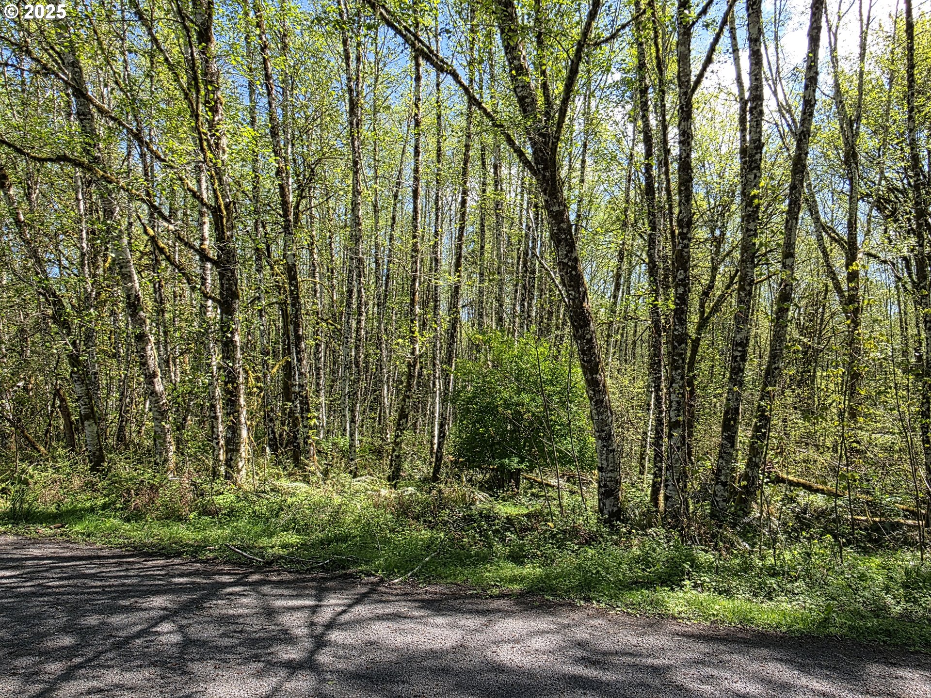Mill Falls Ln Property Photo 13