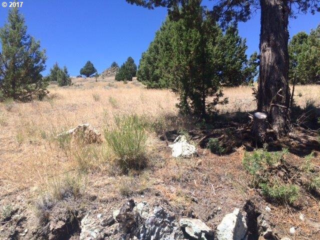 Adam Rd Property Photo 3