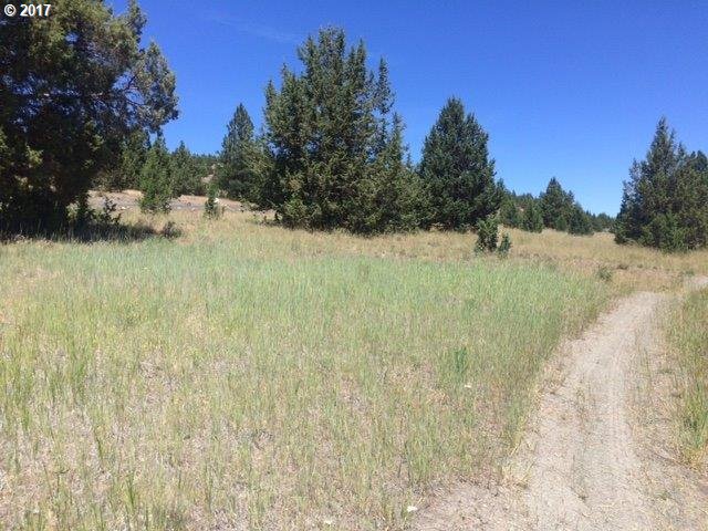 Adam Rd Property Photo 6