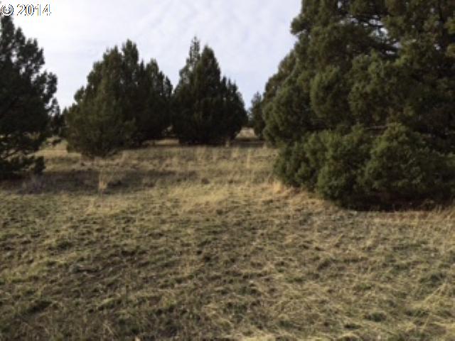 Adam Rd Property Photo 9