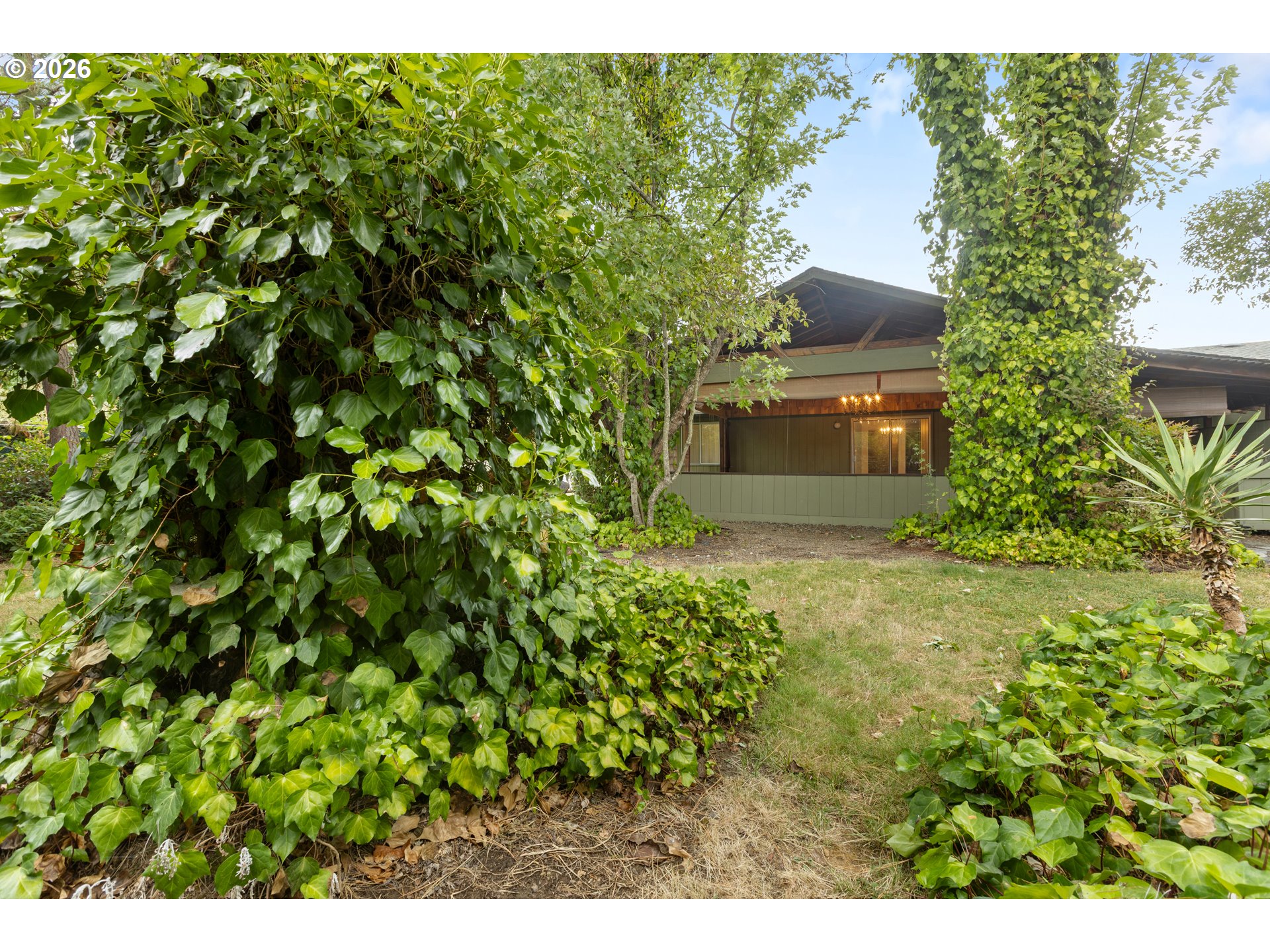 273 Eddy St Property Photo 2