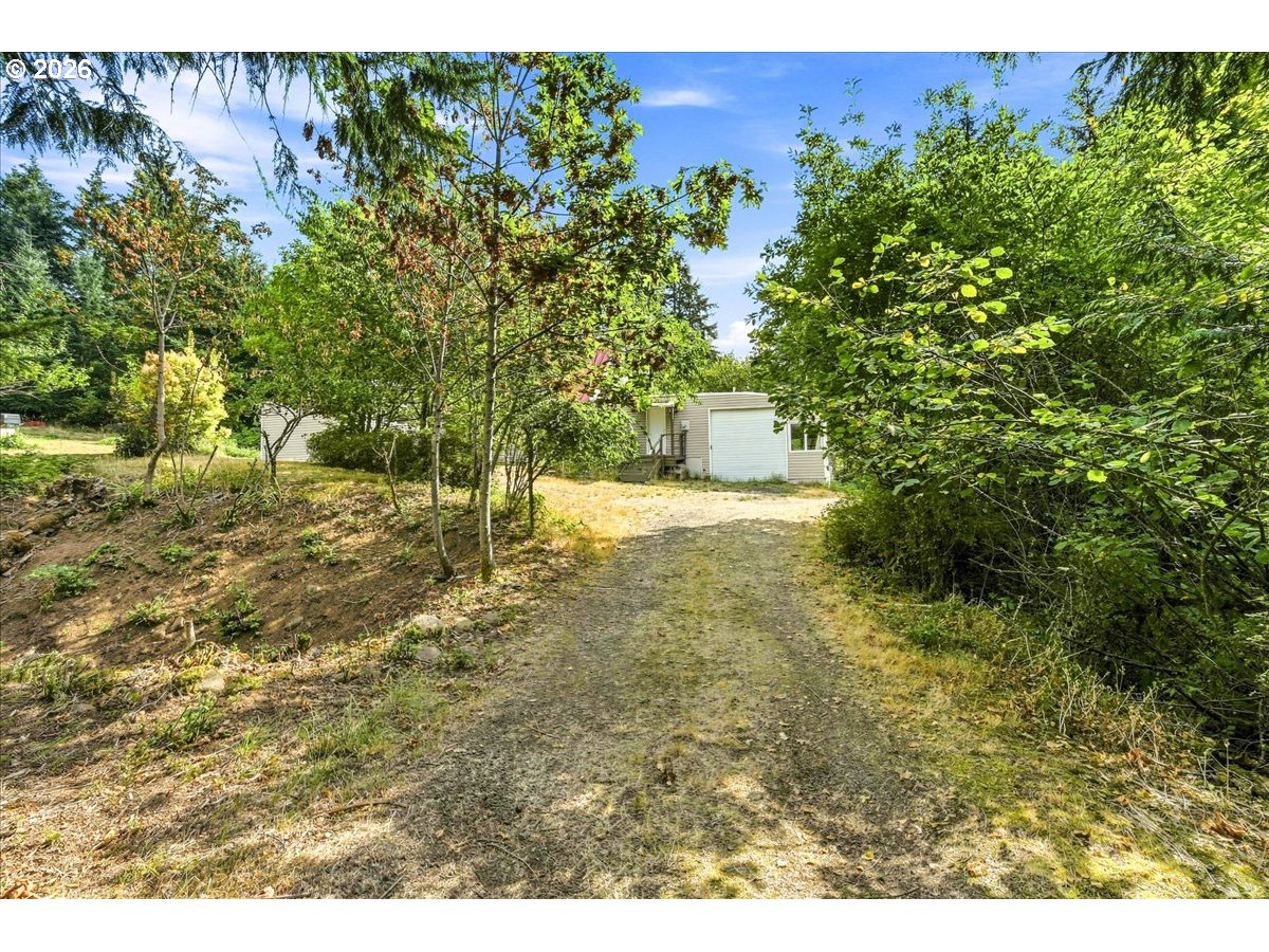 72 Brunning Rd Property Photo 29