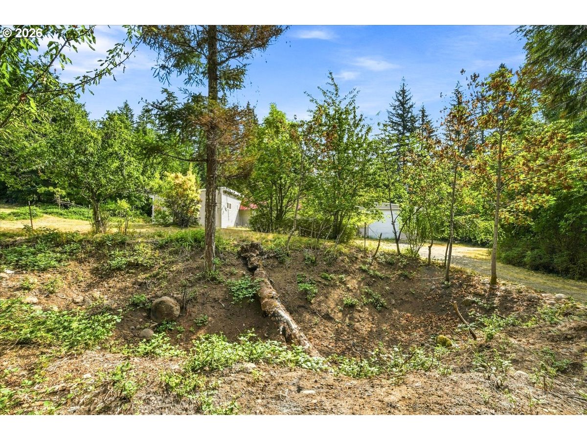 72 Brunning Rd Property Photo 30