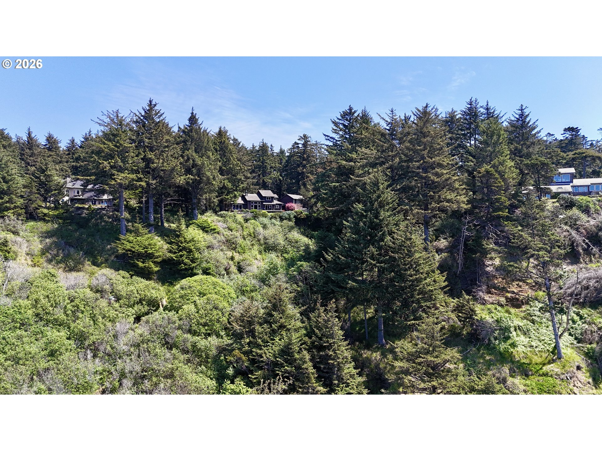 31904 Chantrelle Ln Property Photo 29
