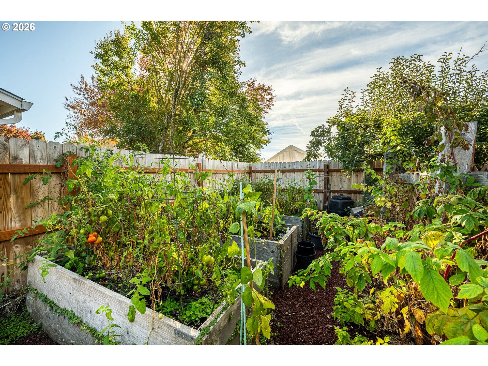 1061 Applegate Pl Property Photo 34