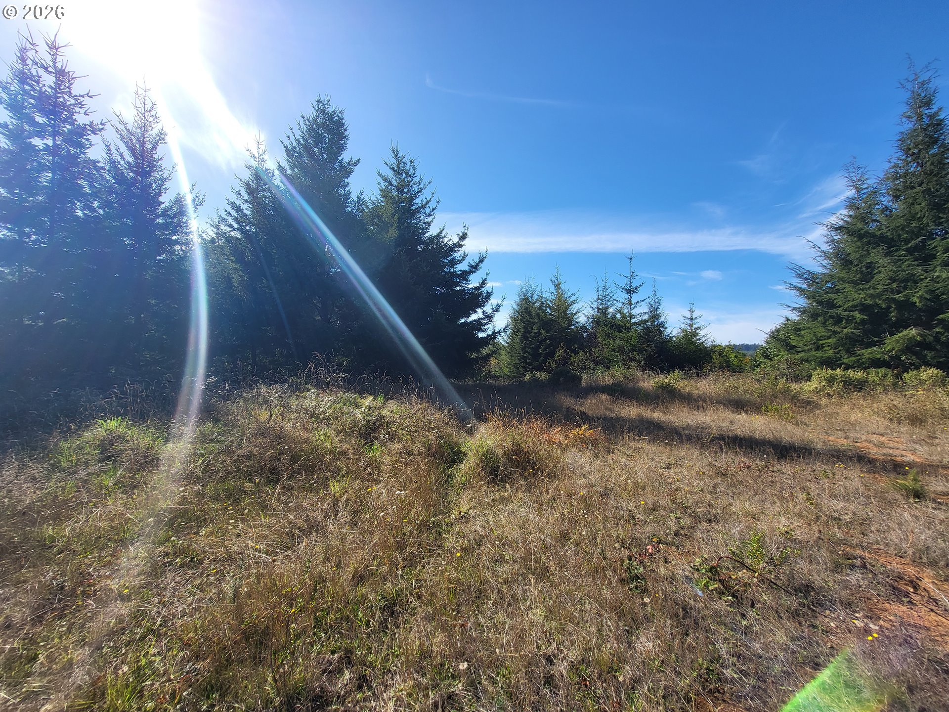 93875 Hollow Stump Ln Property Photo 1
